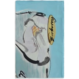 Multicolor Silk Scarf