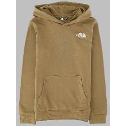 teen simple dome light reg hoodie cedar