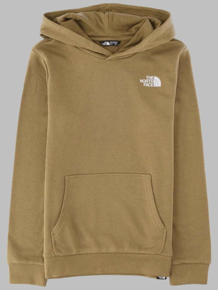 teen simple dome light reg hoodie cedar
