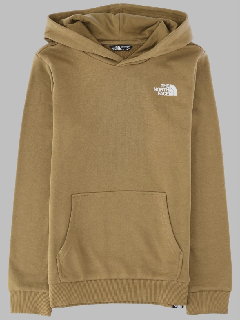 teen simple dome light reg hoodie cedar