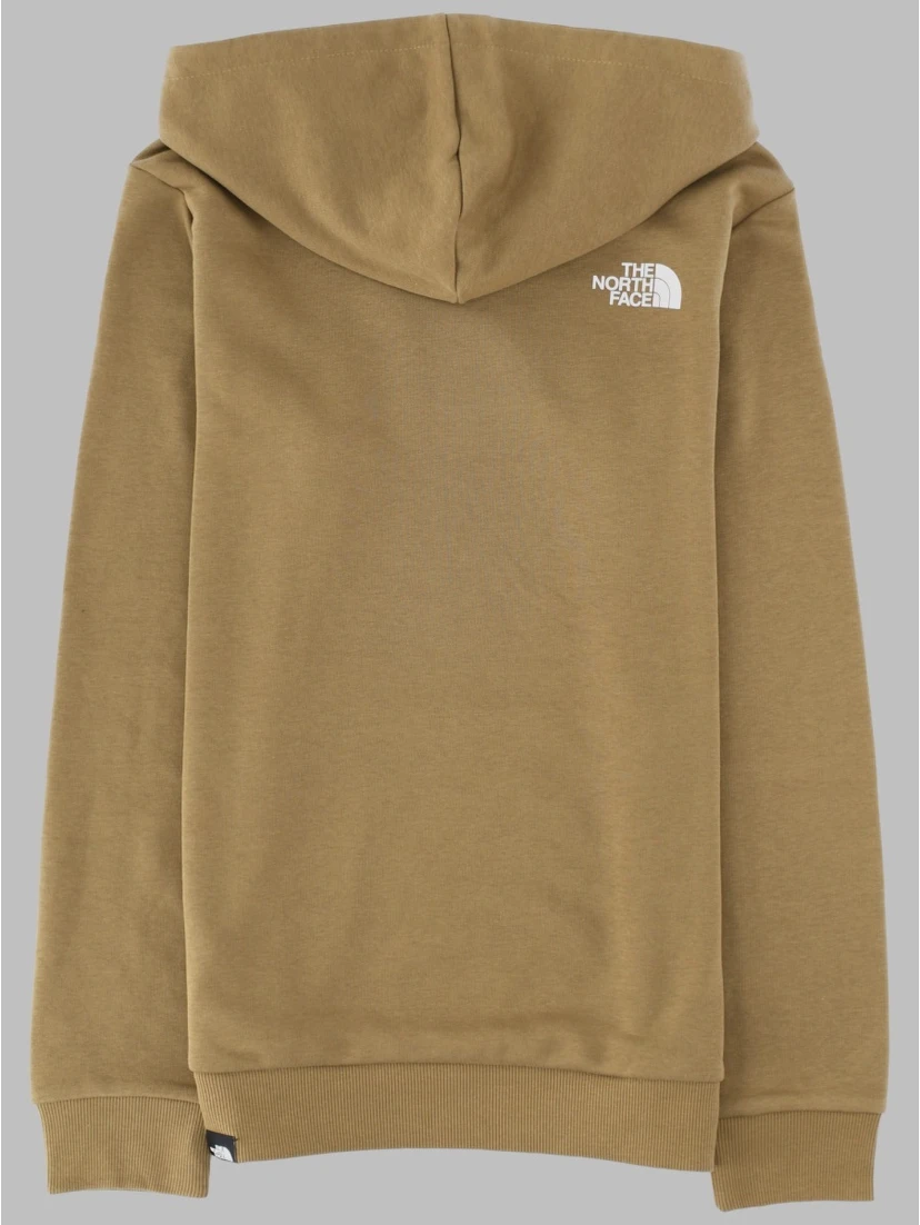 teen simple dome light reg hoodie cedar