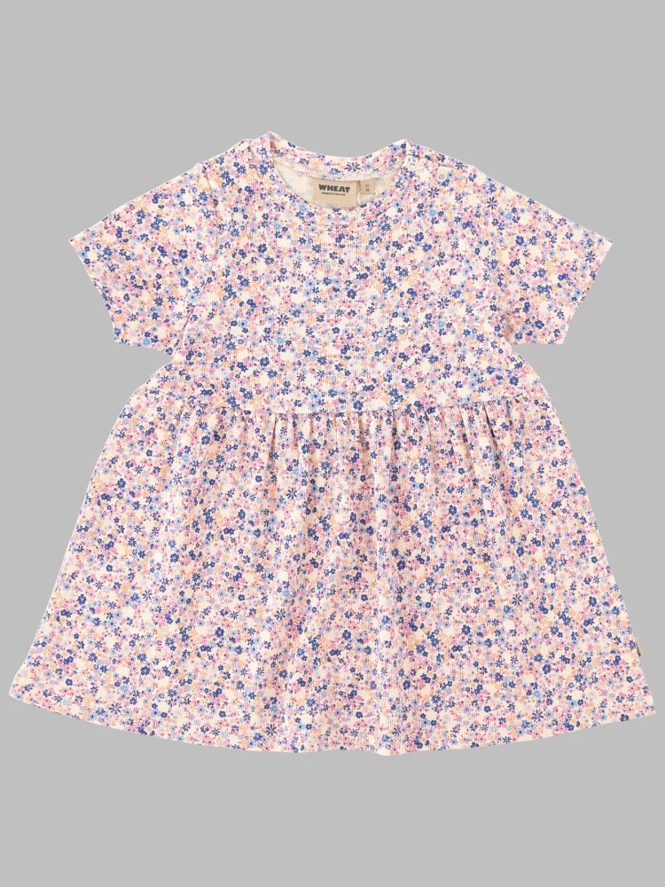 dress suit sofia