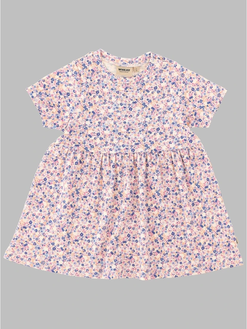 dress suit sofia