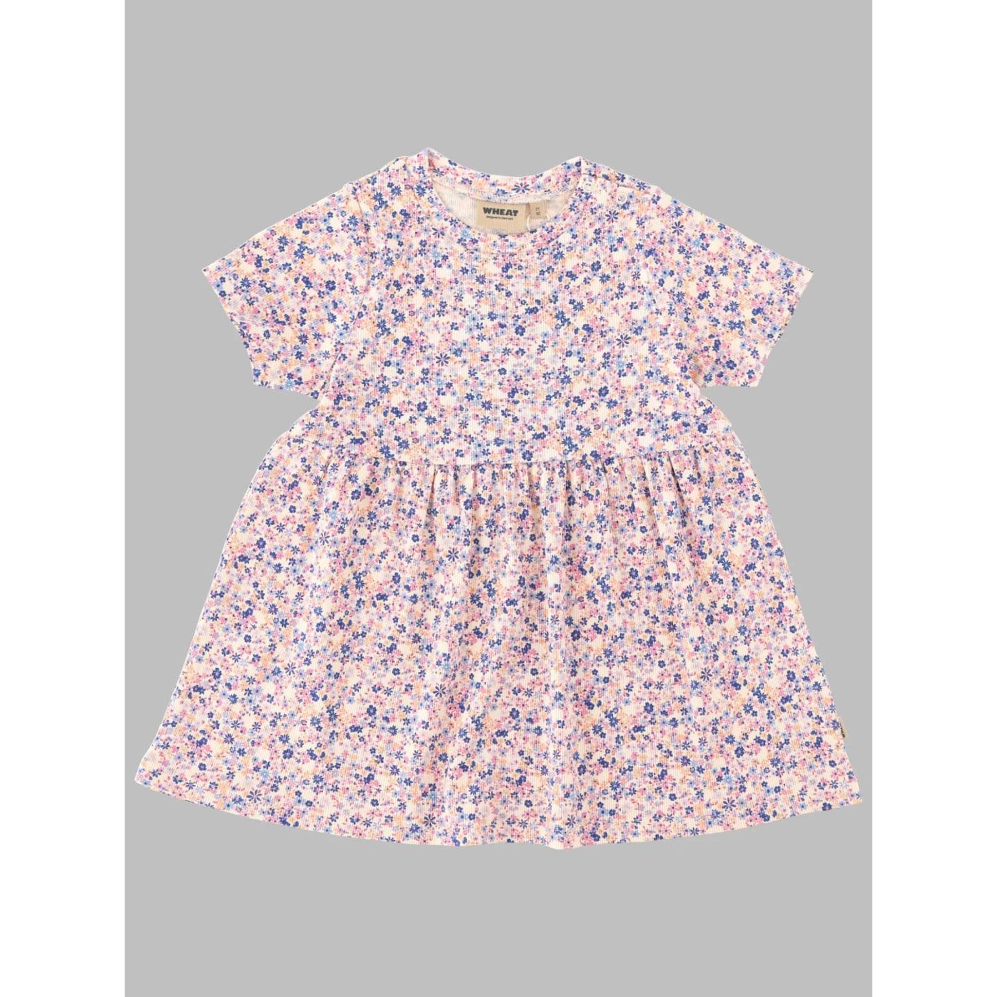 dress suit sofia