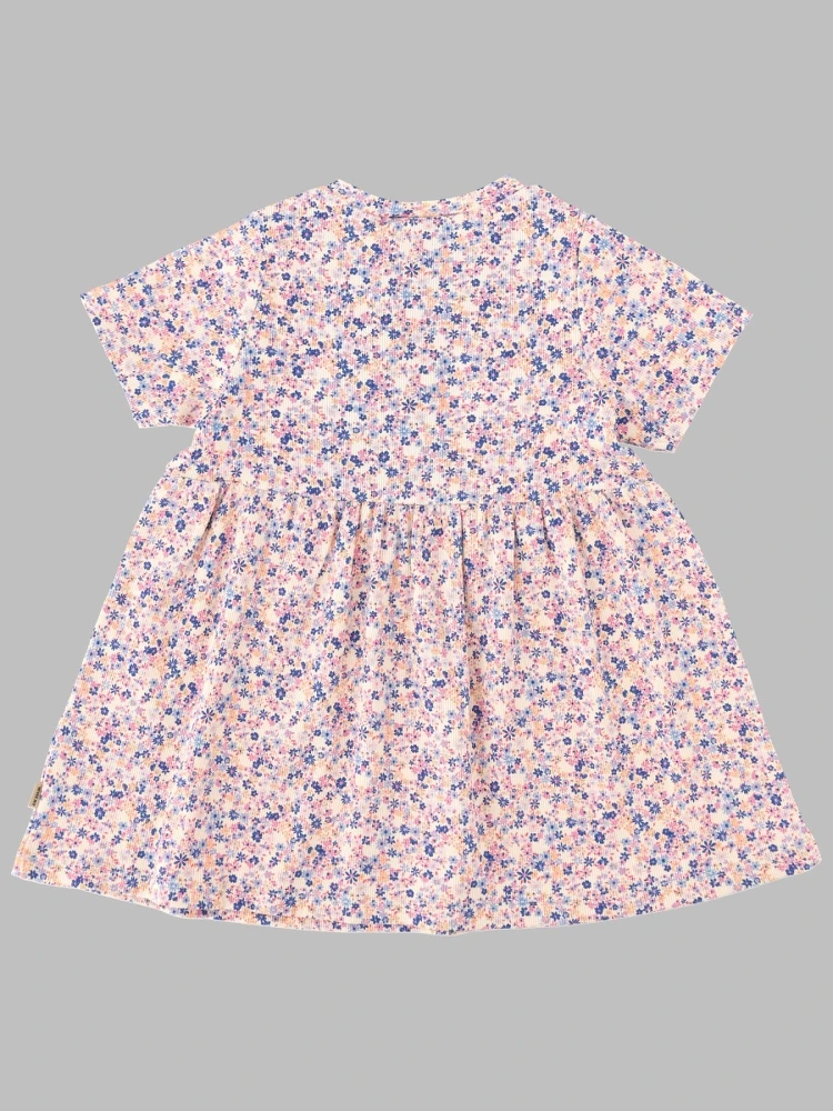 dress suit sofia alternative
