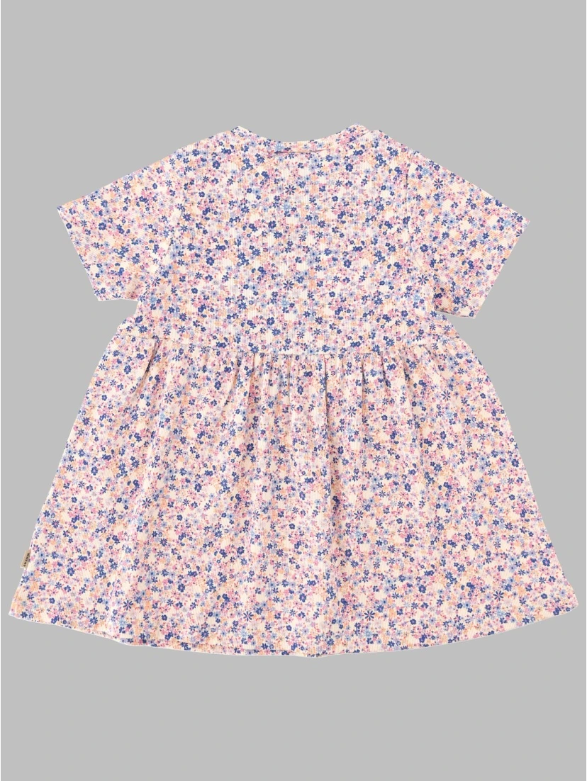 dress suit sofia