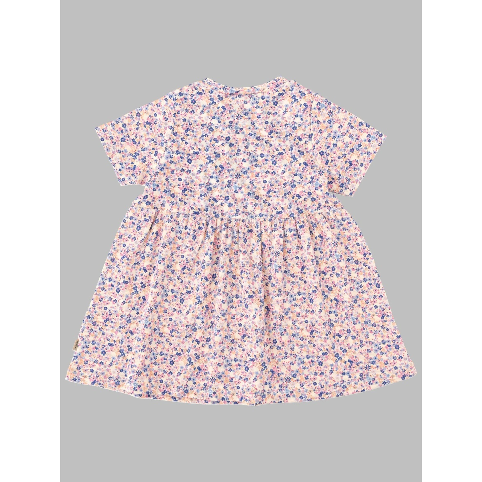 dress suit sofia