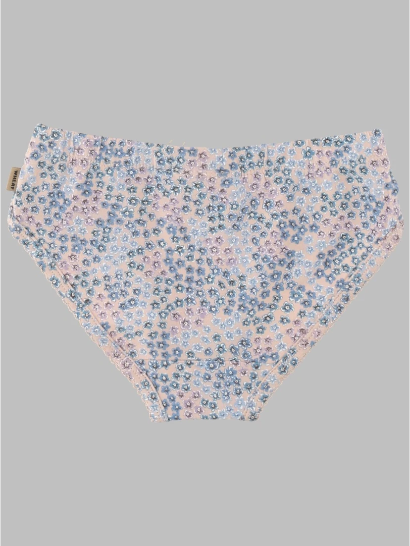 underwear havanna