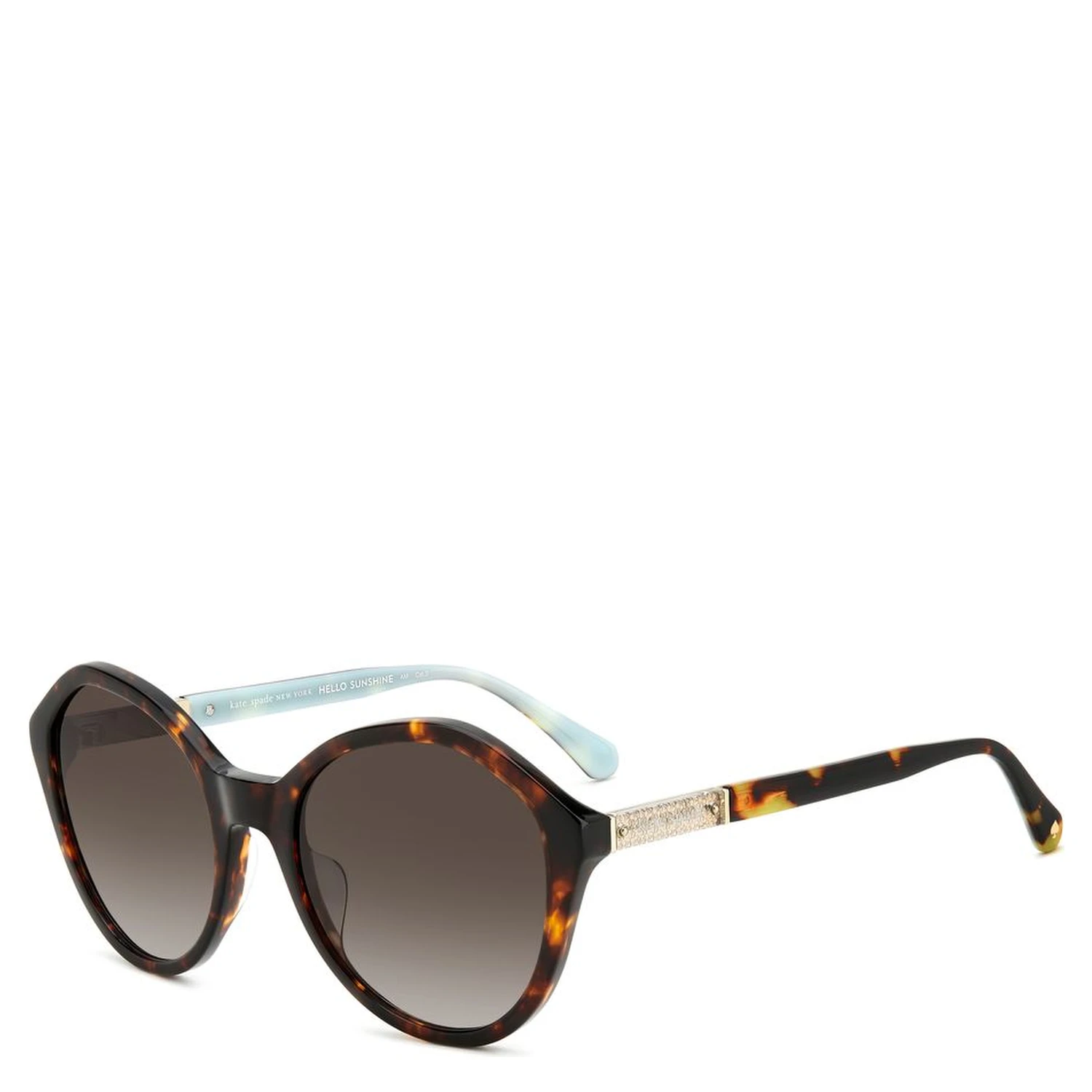 Brown Acetate Sunglasses