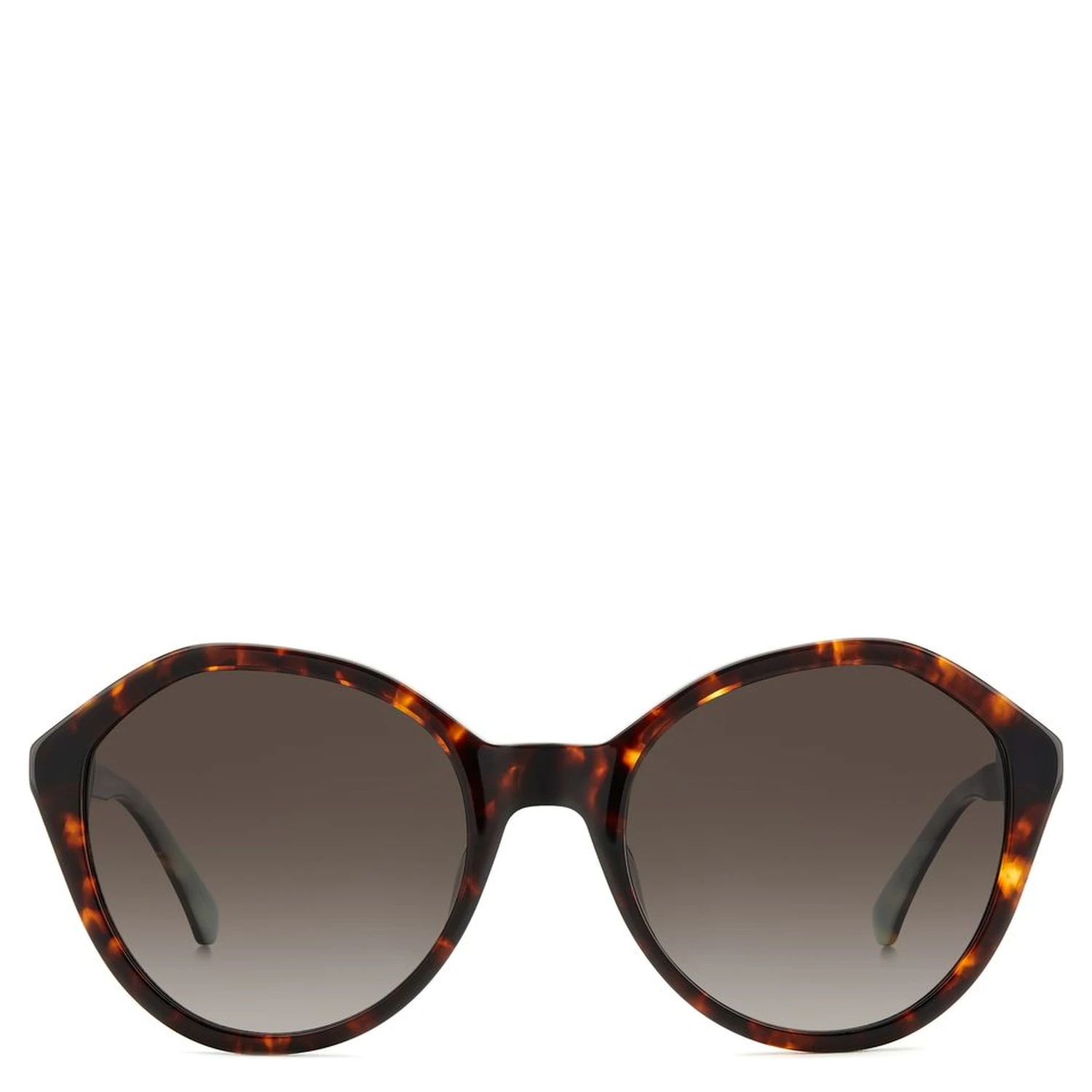 Brown Acetate Sunglasses