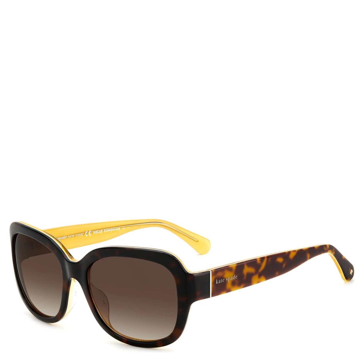 Brown Acetate Sunglasses