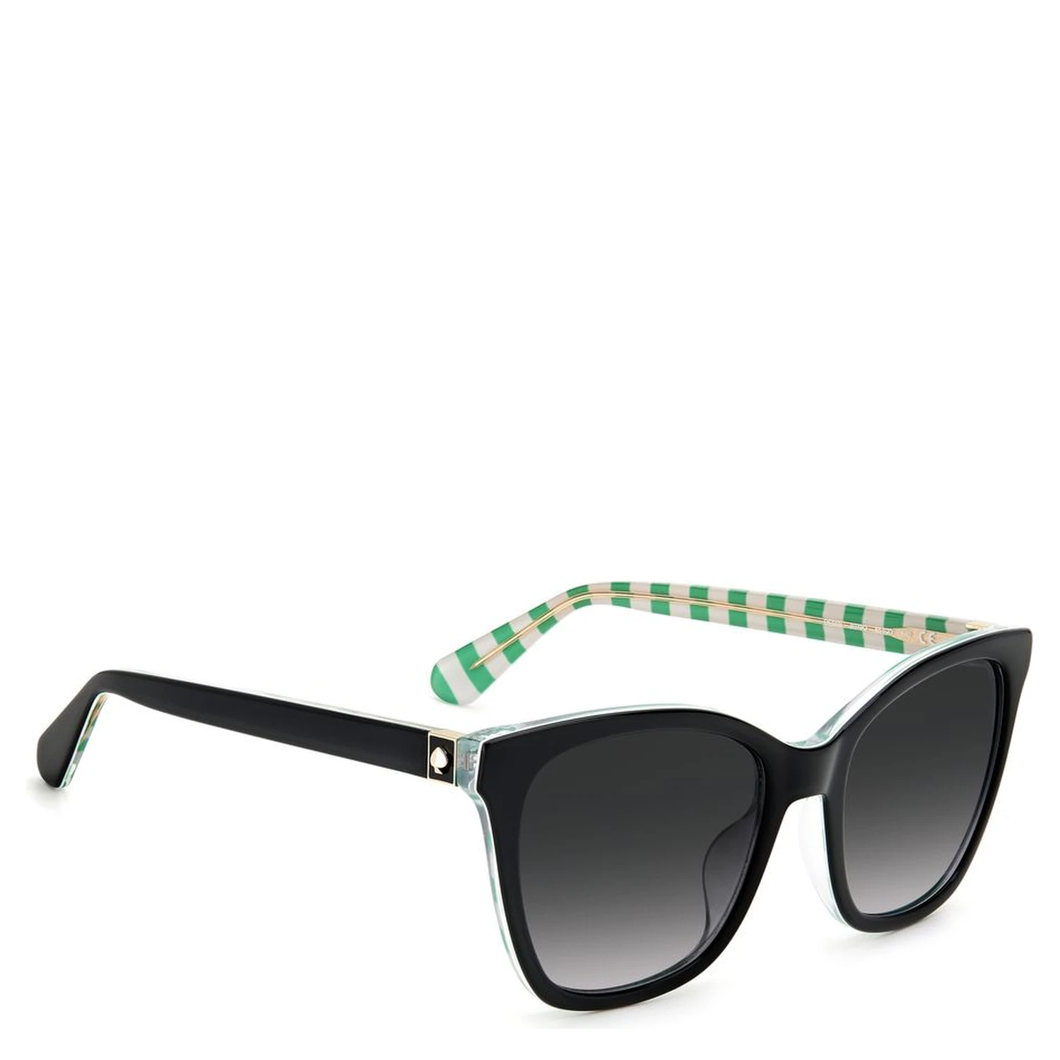 Black Acetate Sunglasses