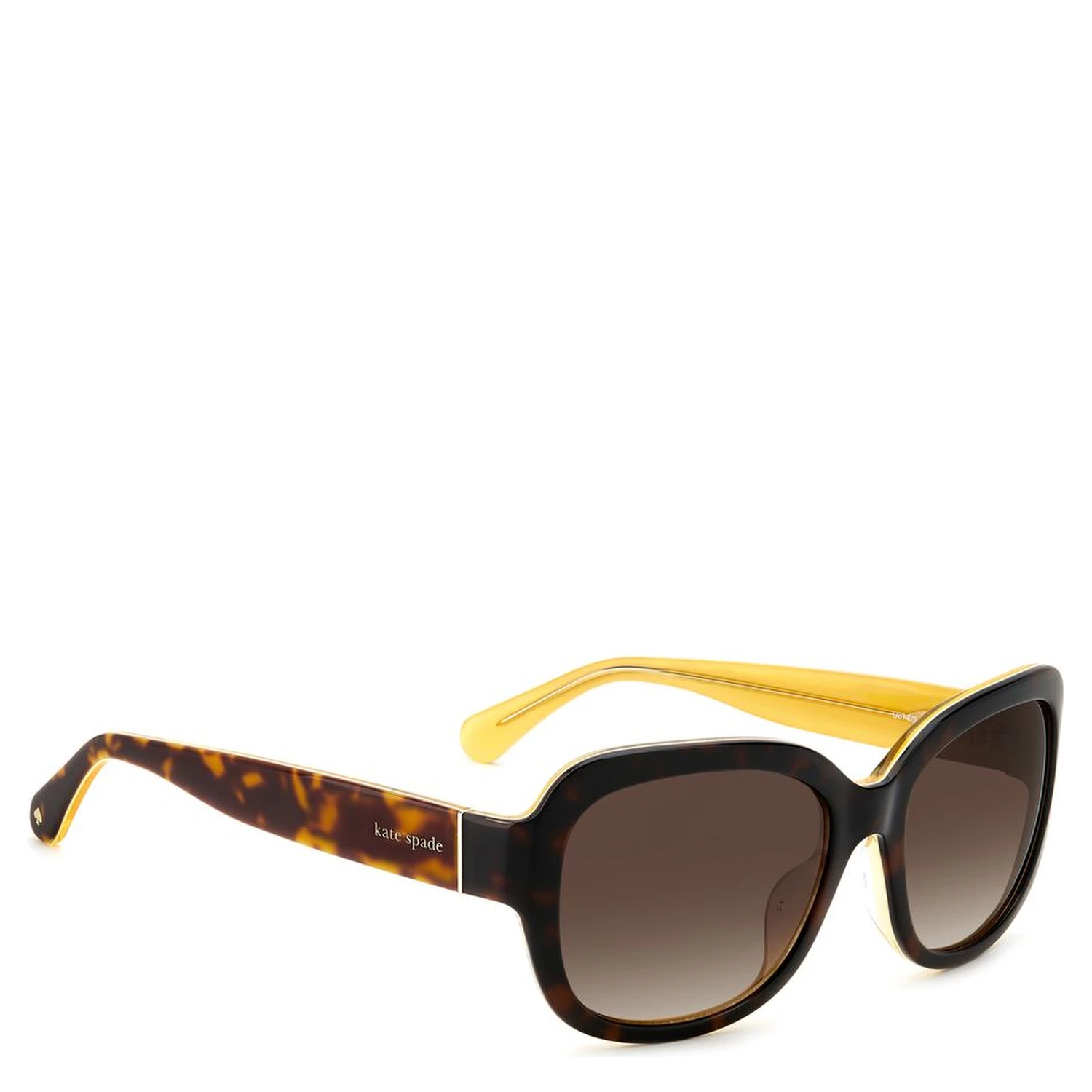 Brown Acetate Sunglasses