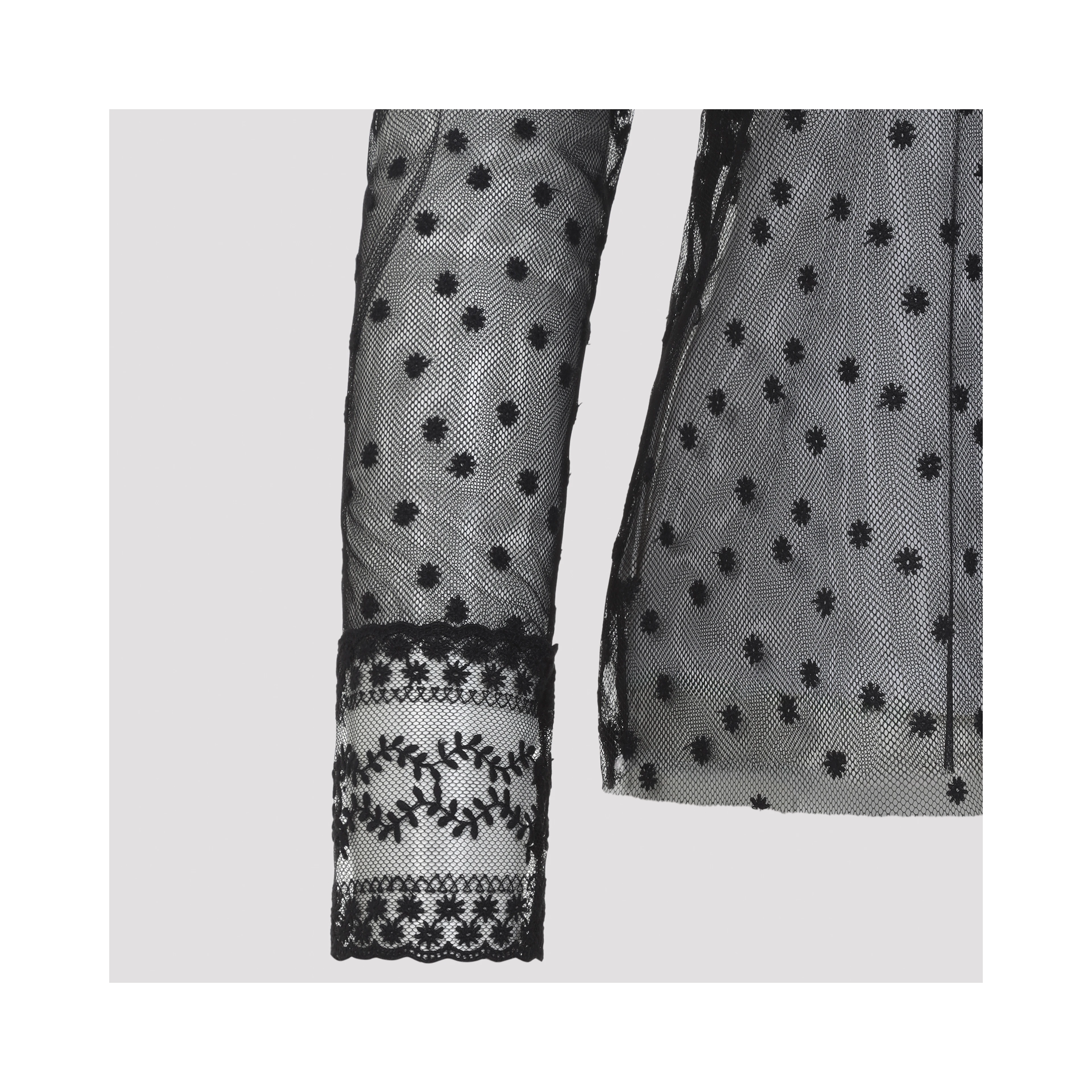 Alberta Ferretti L/S Pois Tulle Top