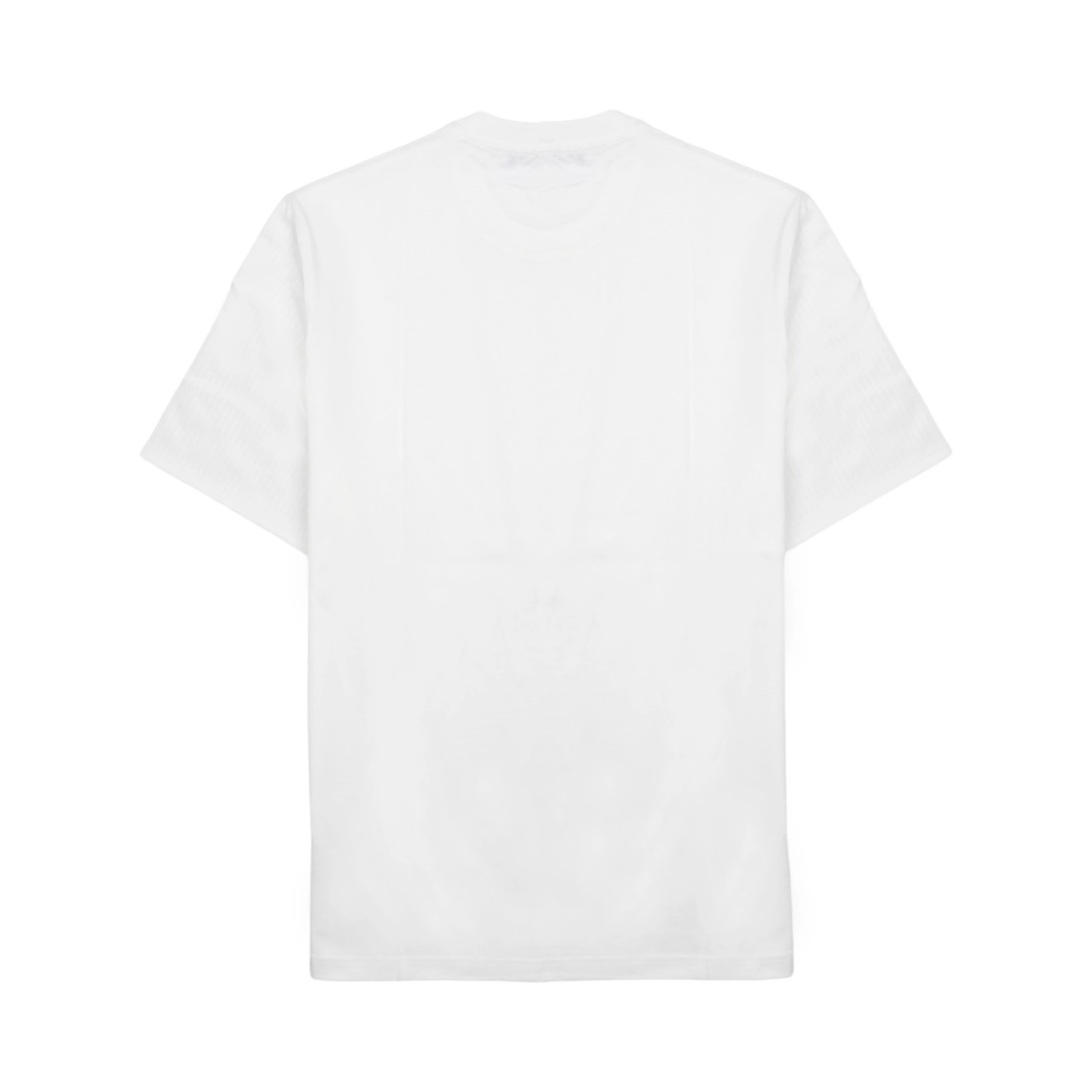 T-SHIRT IN JERSEY DI COTONE