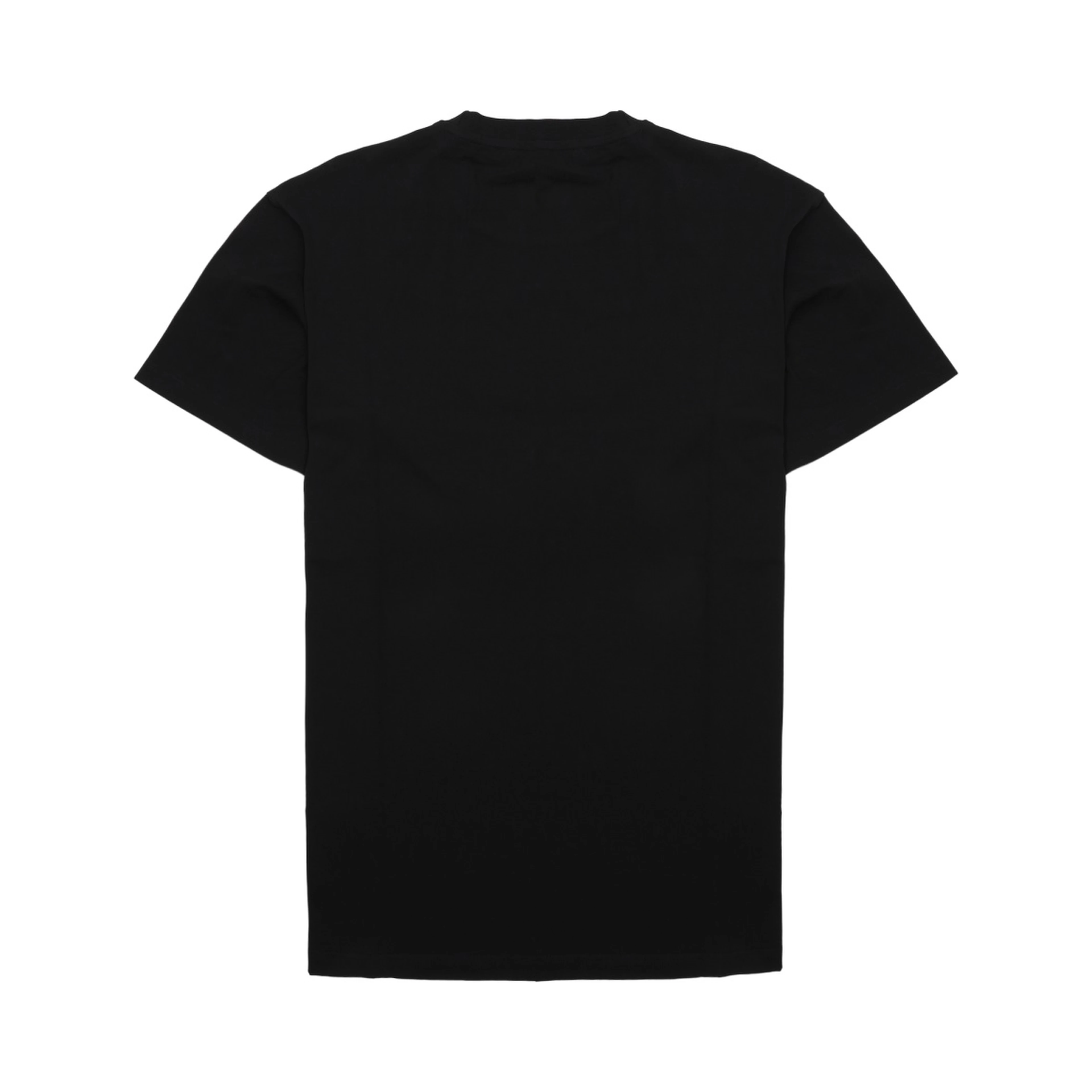 T-SHIRT IN COTONE