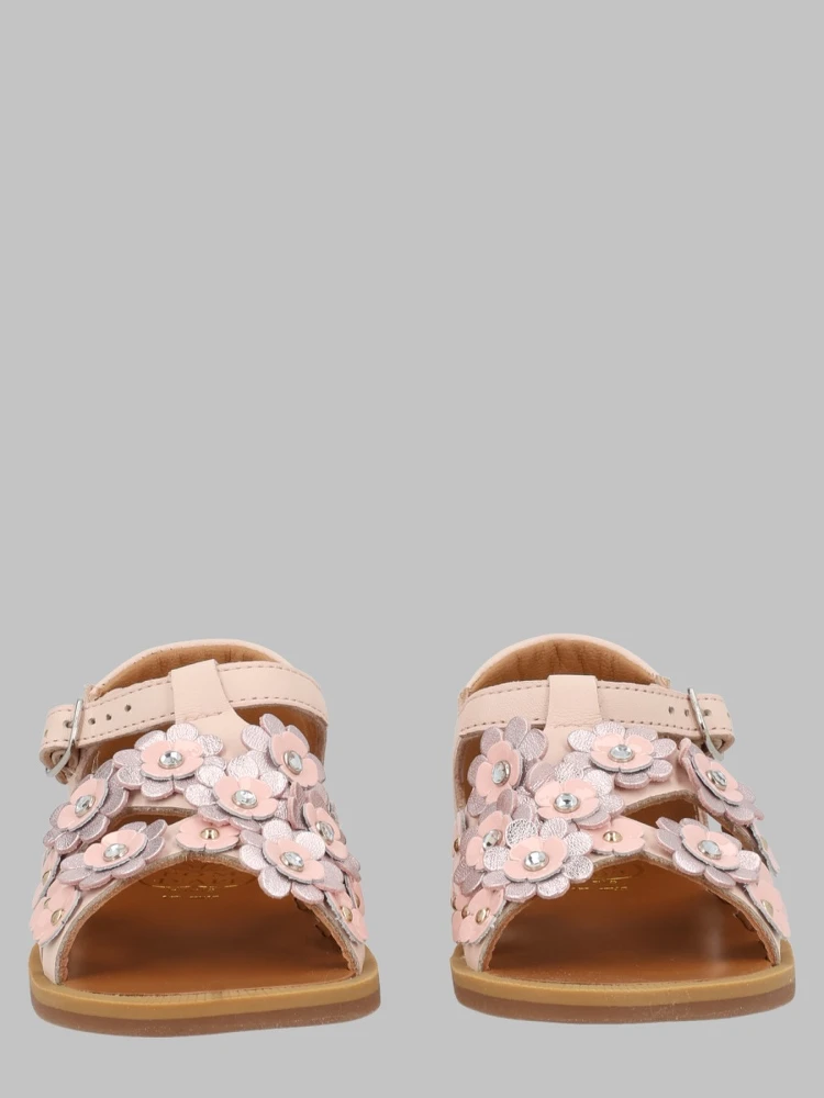 poppy buck flo
nap-1..am -ver