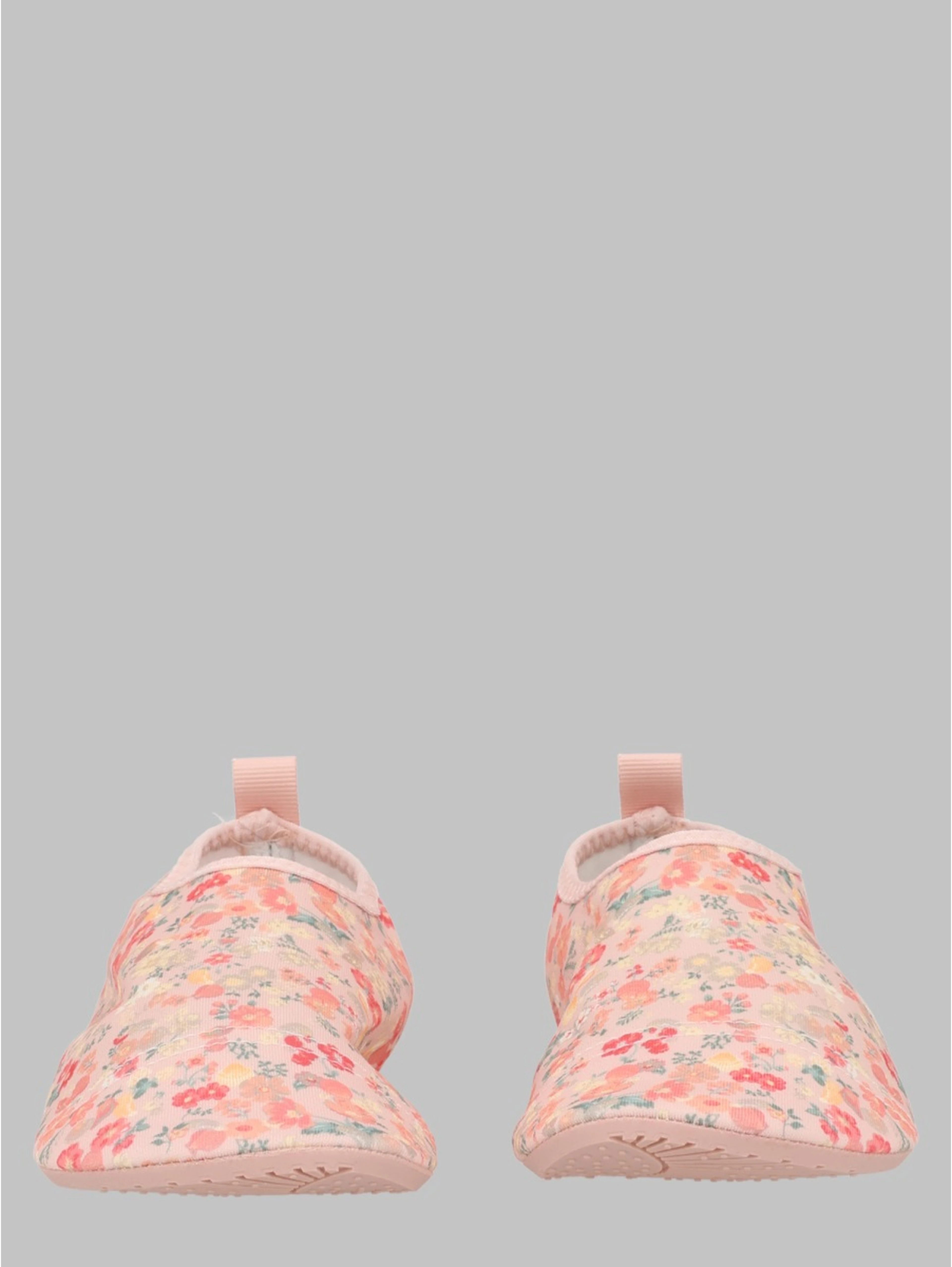 swimshoe dolphin