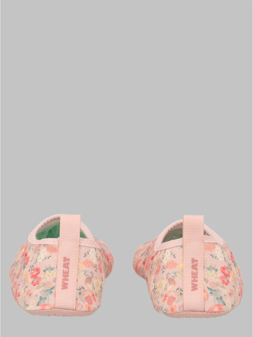 swimshoe dolphin
