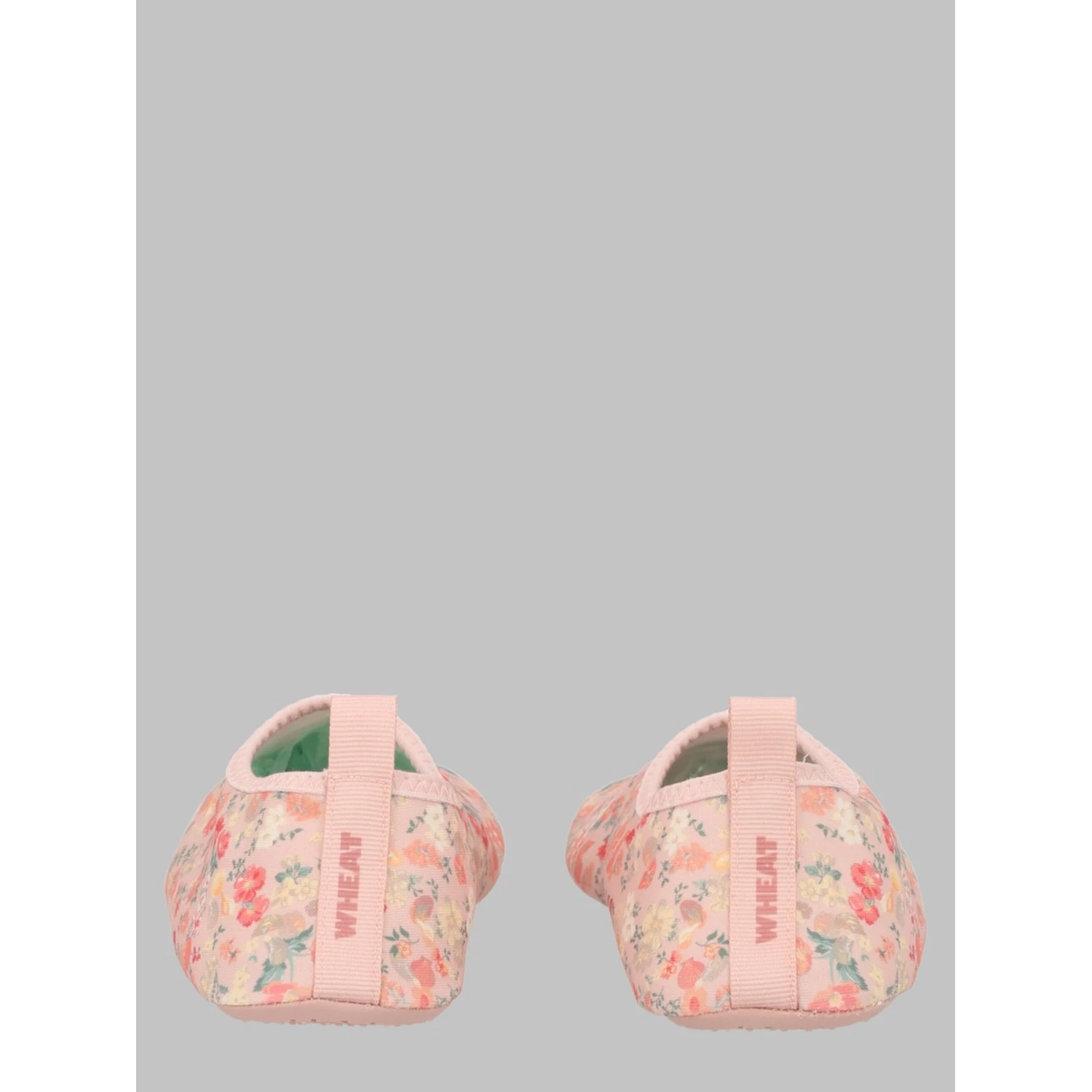 swimshoe dolphin