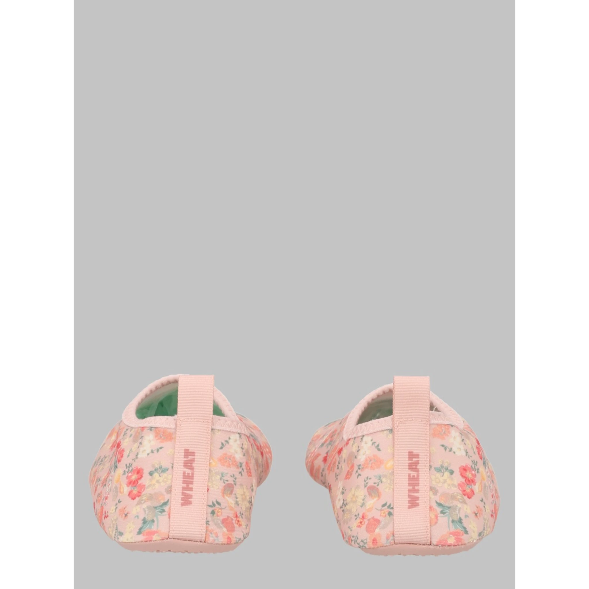 swimshoe dolphin