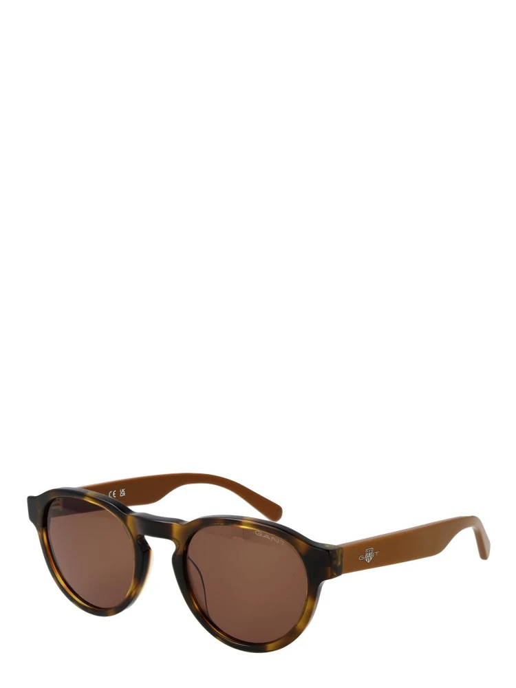 Brown Plastic Sunglasses