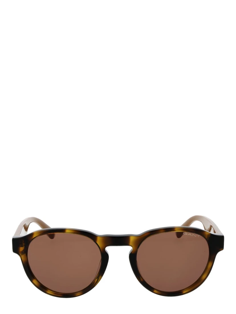Brown Plastic Sunglasses