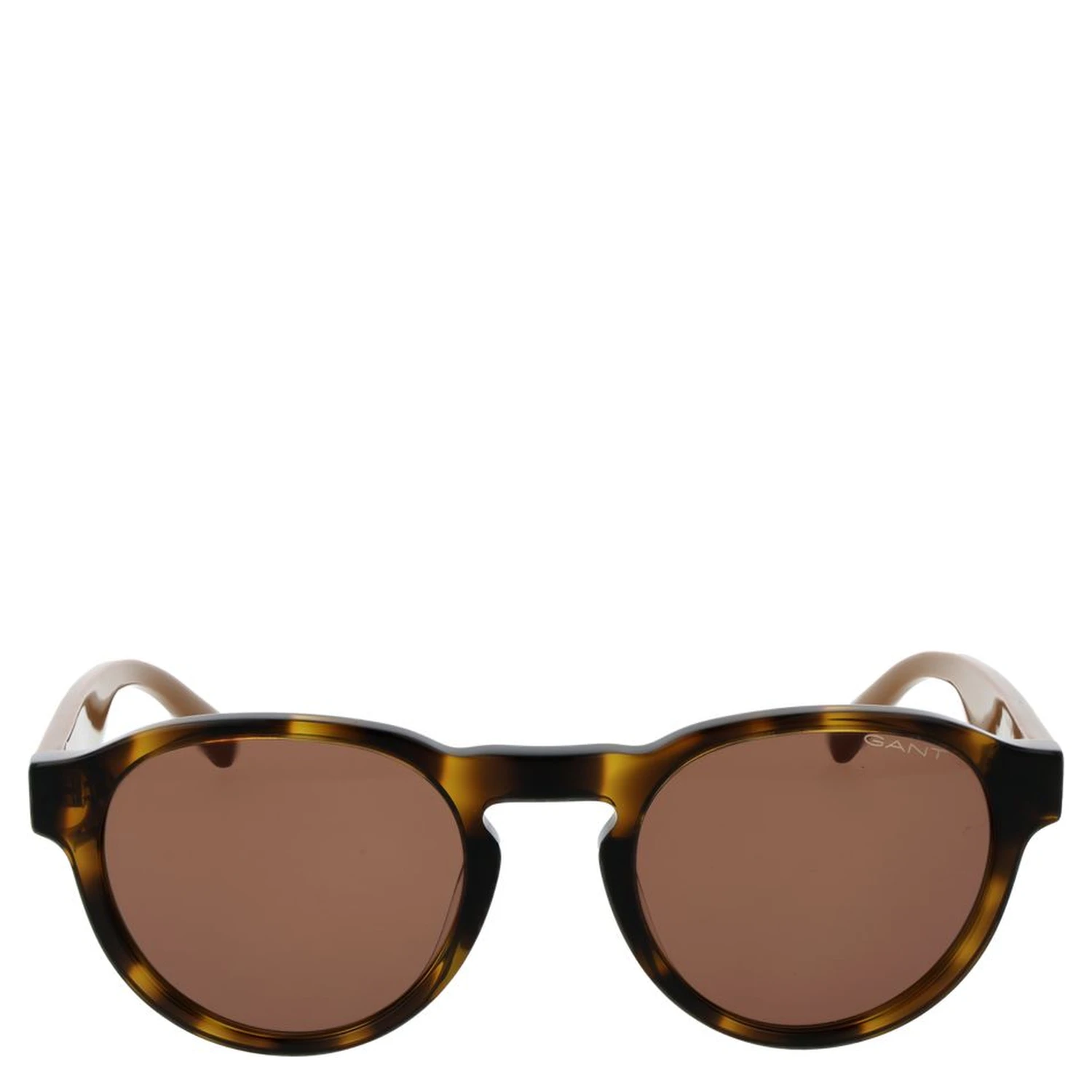 Brown Plastic Sunglasses