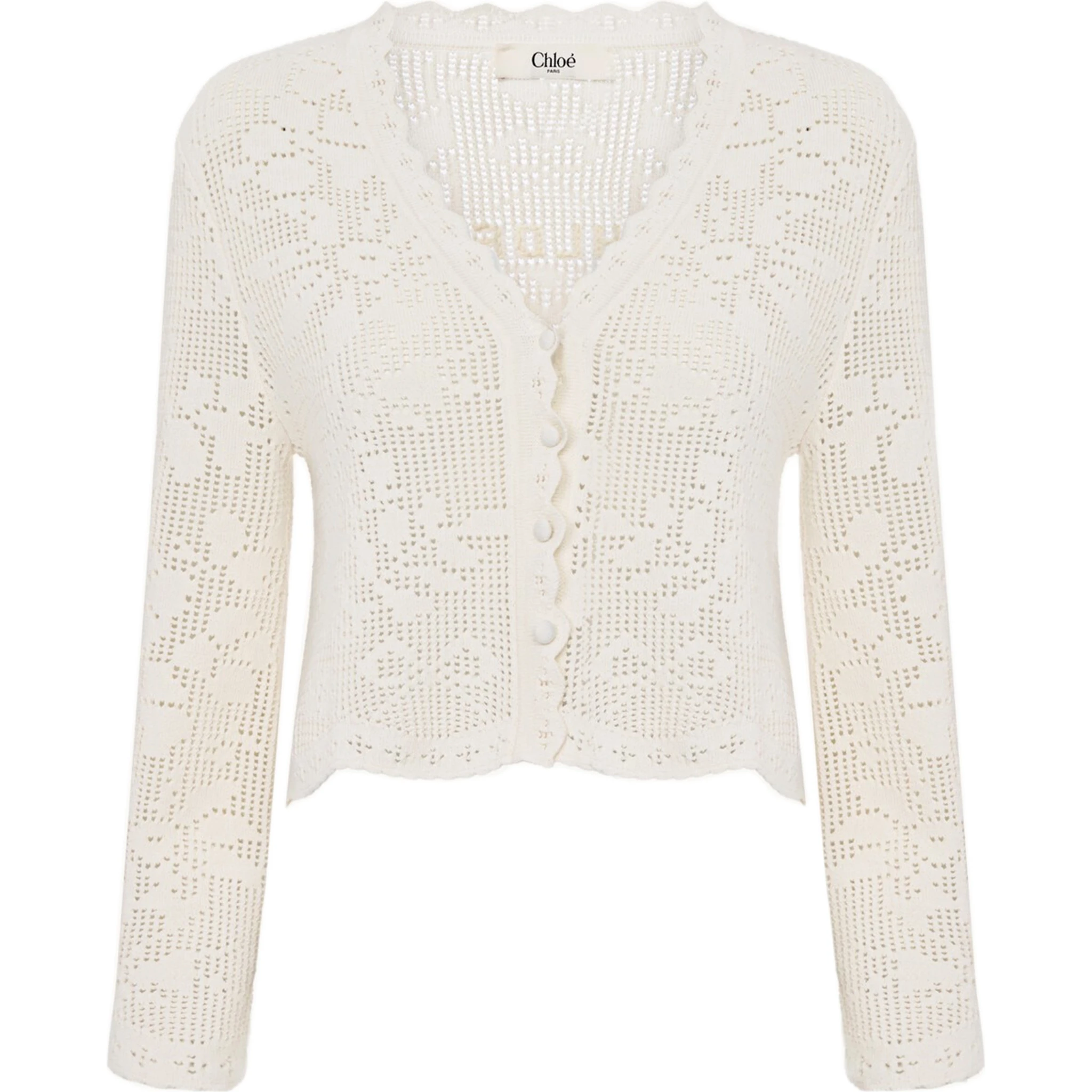 Chloè Sweaters