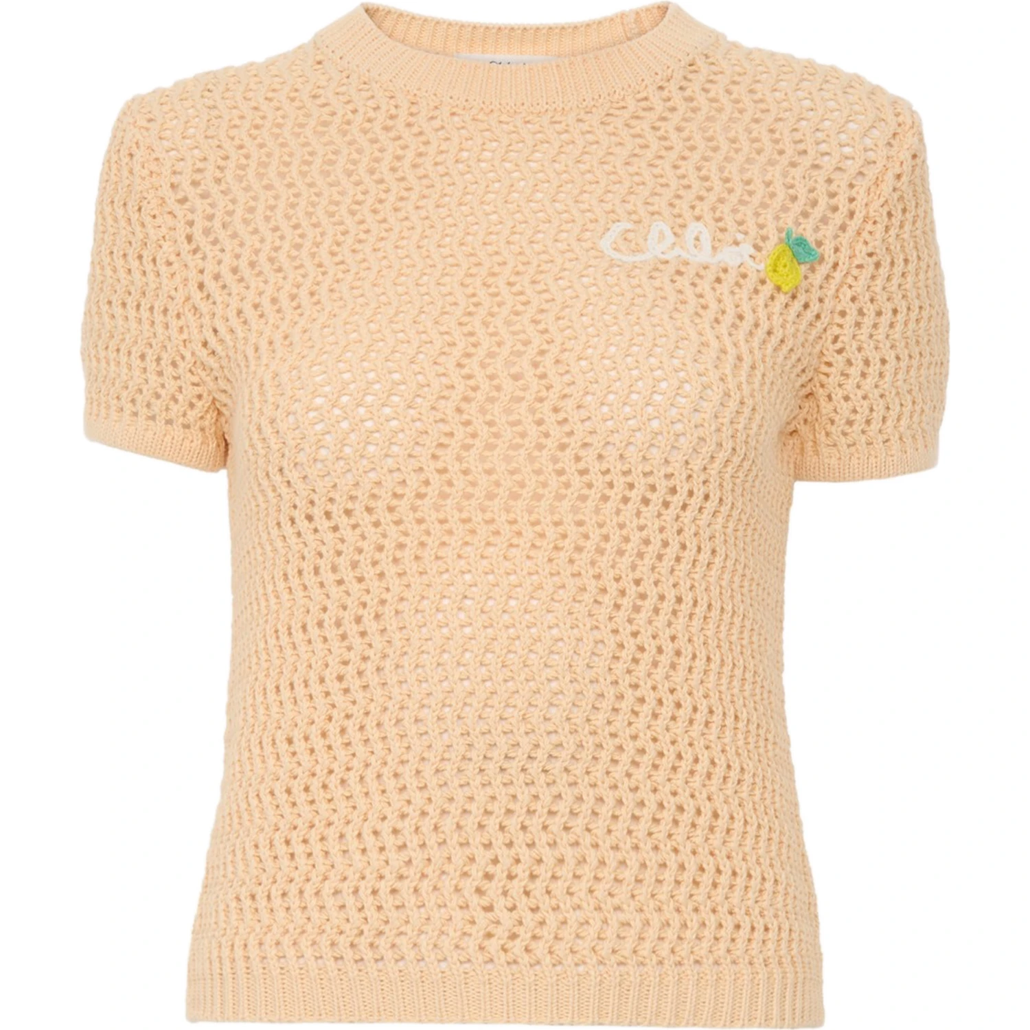 Chloè Sweaters