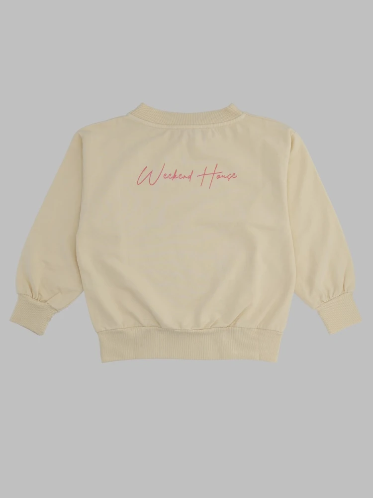 back logo sweatshirt alternative