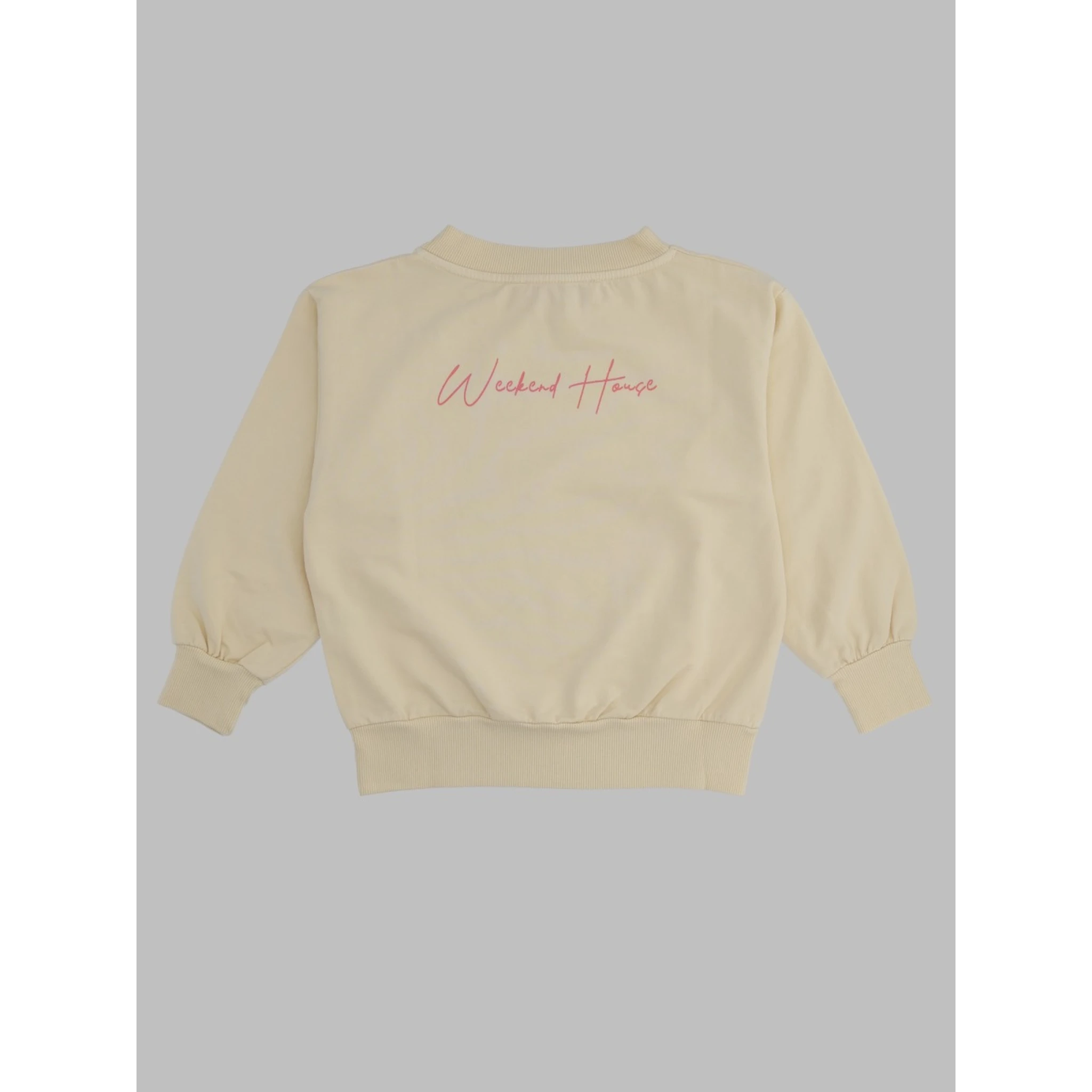 back logo sweatshirt