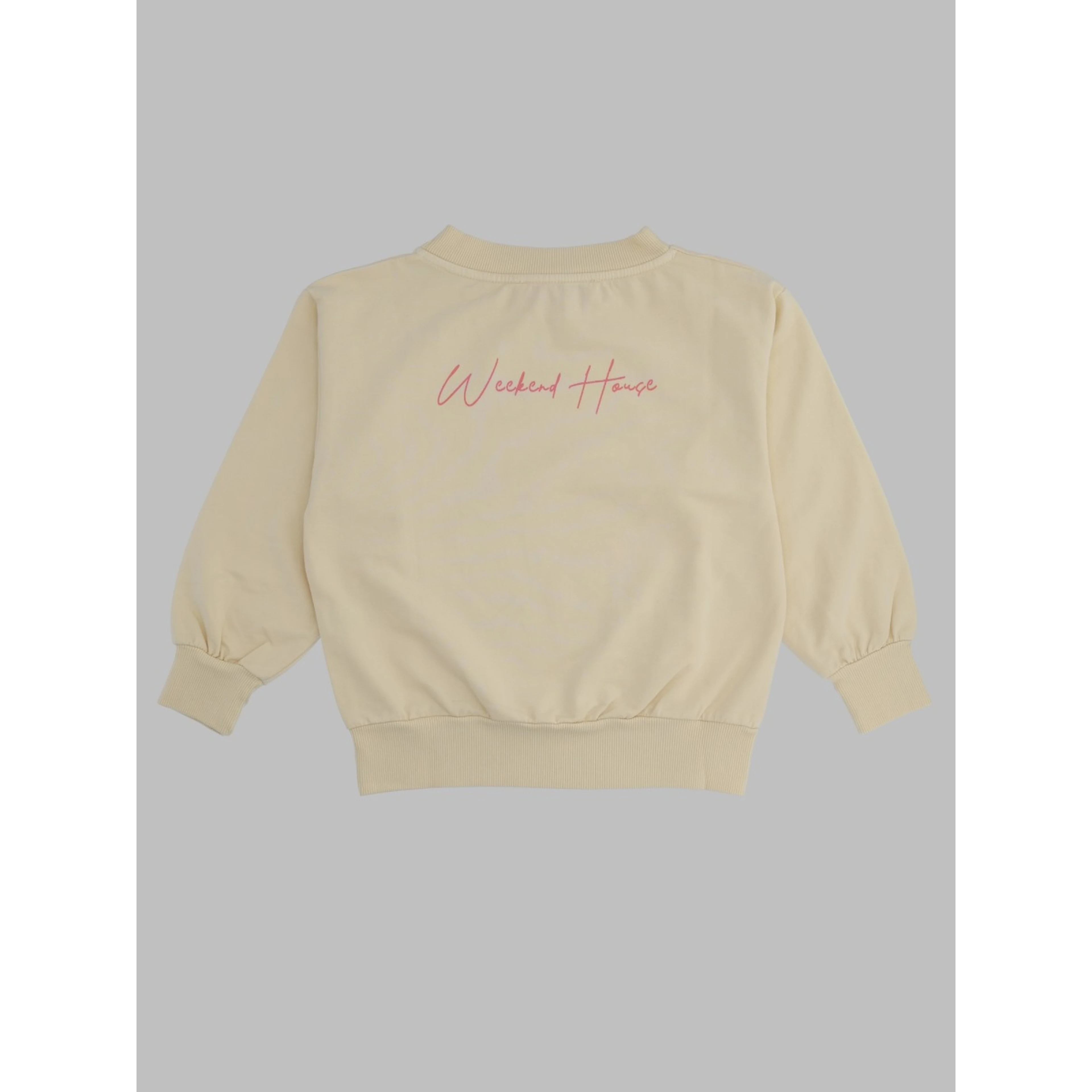 back logo sweatshirt