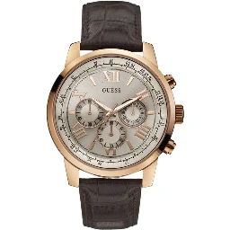 Brown Leather Lining Sport Watch