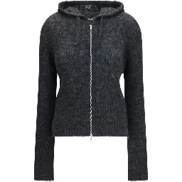 Gray Alpaca Vicugna Pacos Hoodie