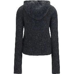 Gray Alpaca Vicugna Pacos Hoodie