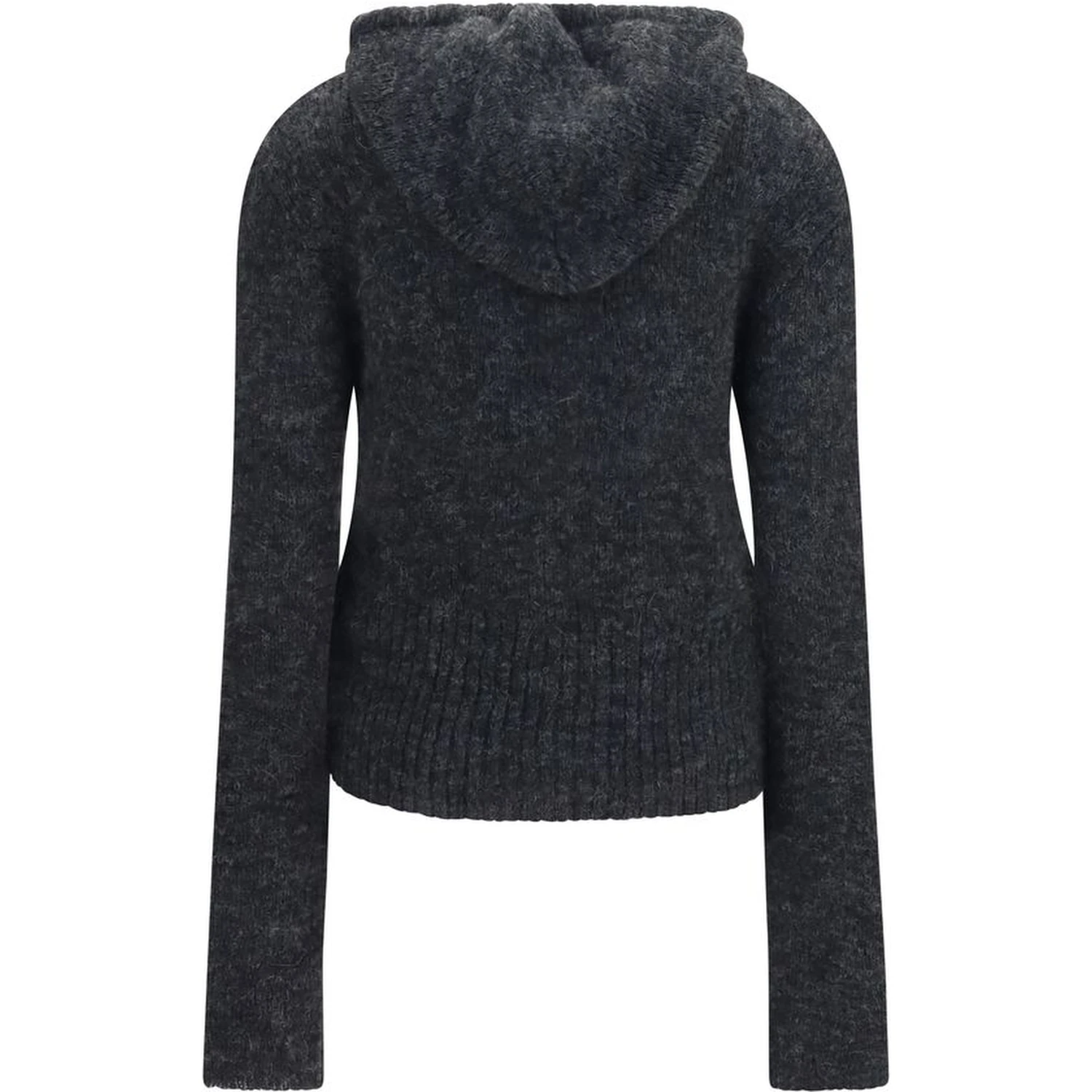Gray Alpaca Vicugna Pacos Hoodie