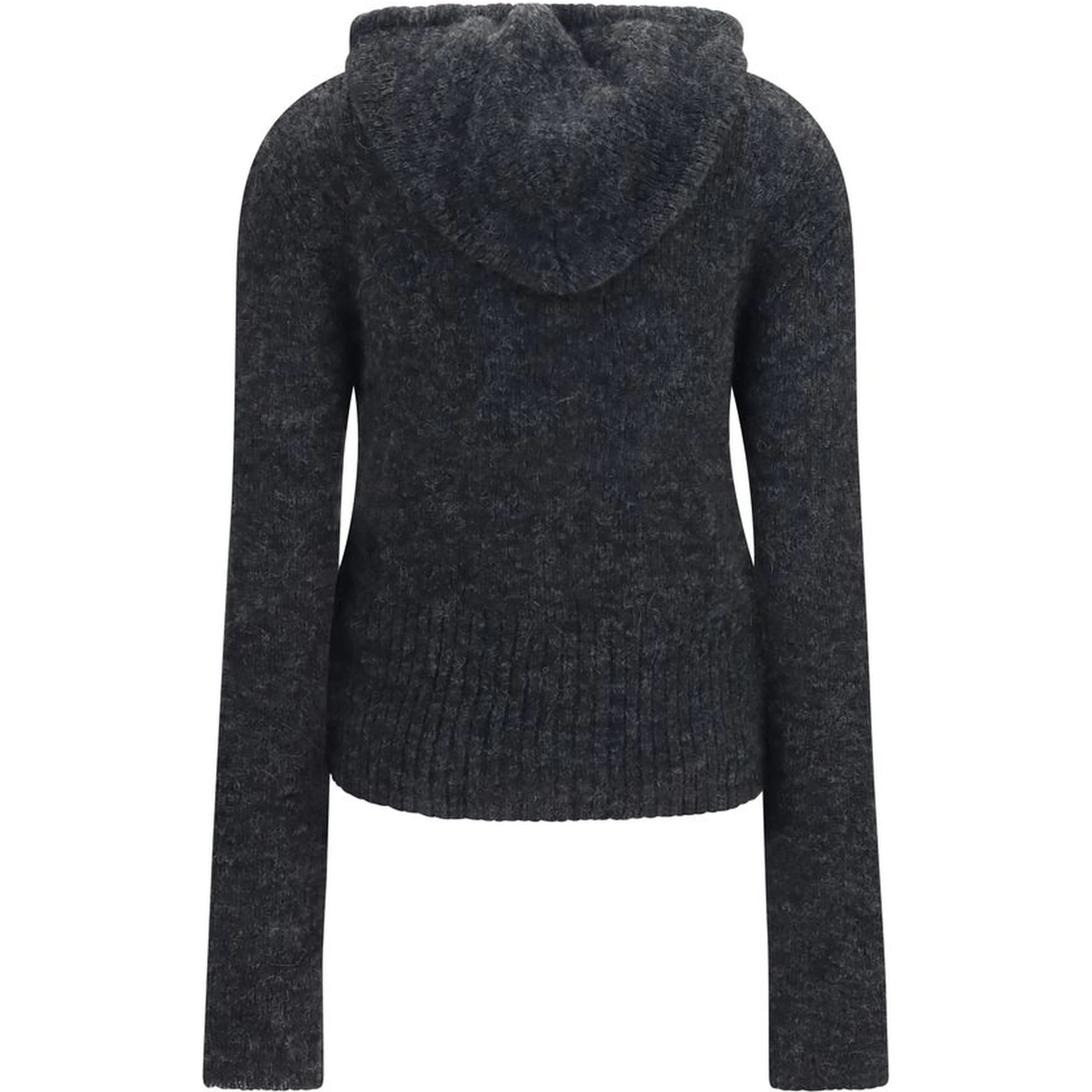 Gray Alpaca Vicugna Pacos Hoodie