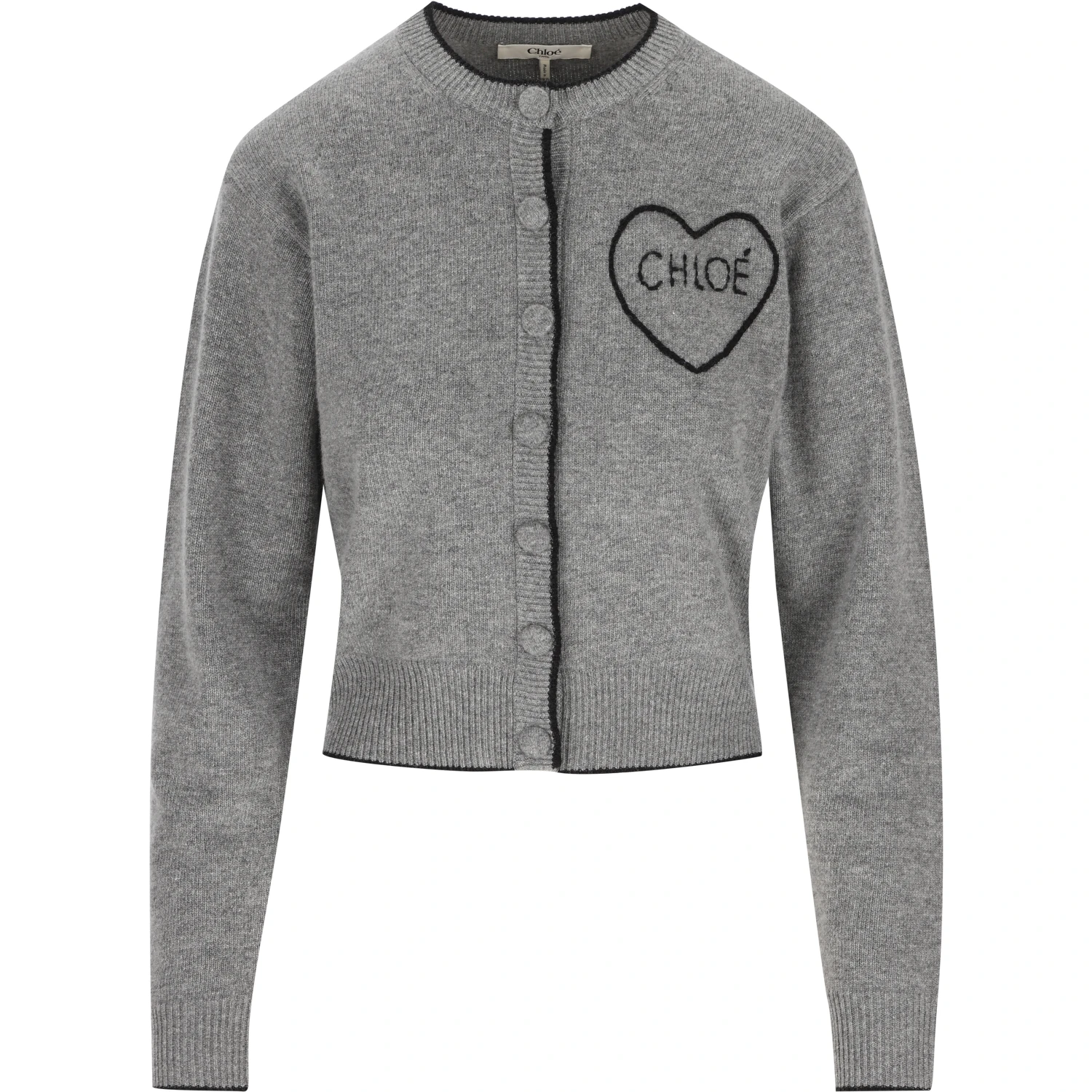 Chloè Sweaters