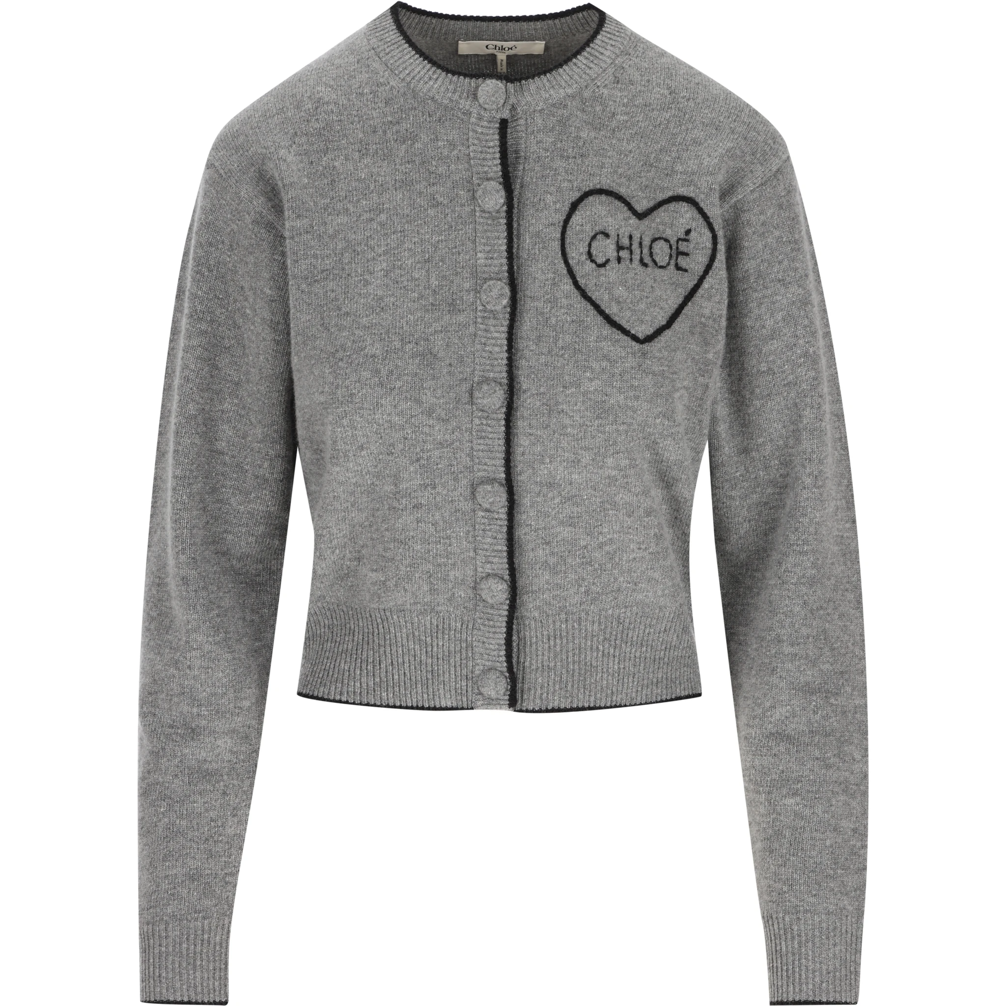 Chloè Sweaters