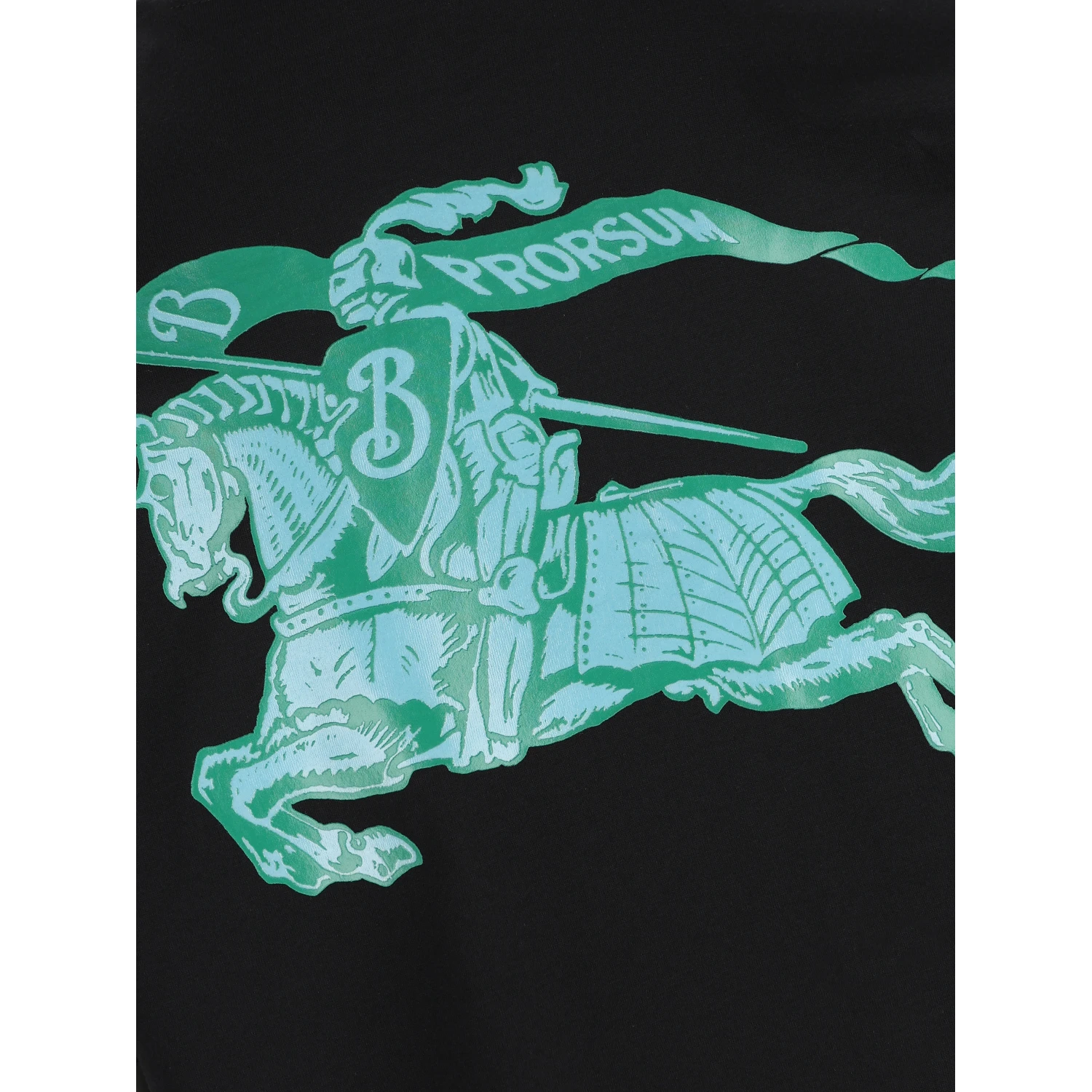 BURBERRY T-shirts and Polos