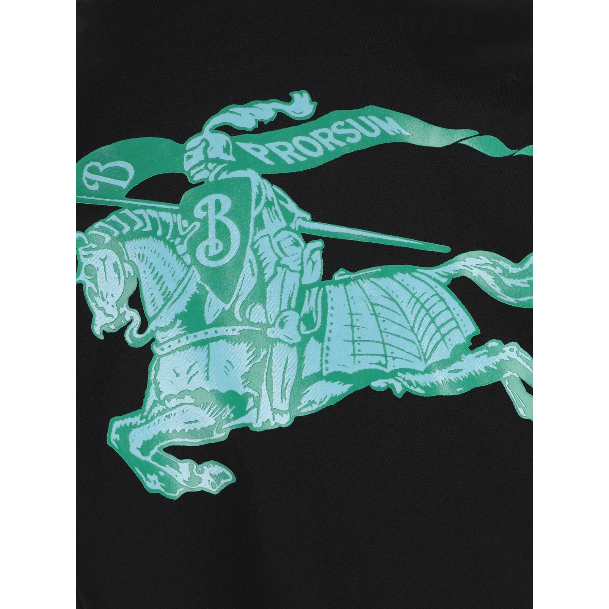 BURBERRY T-shirts and Polos