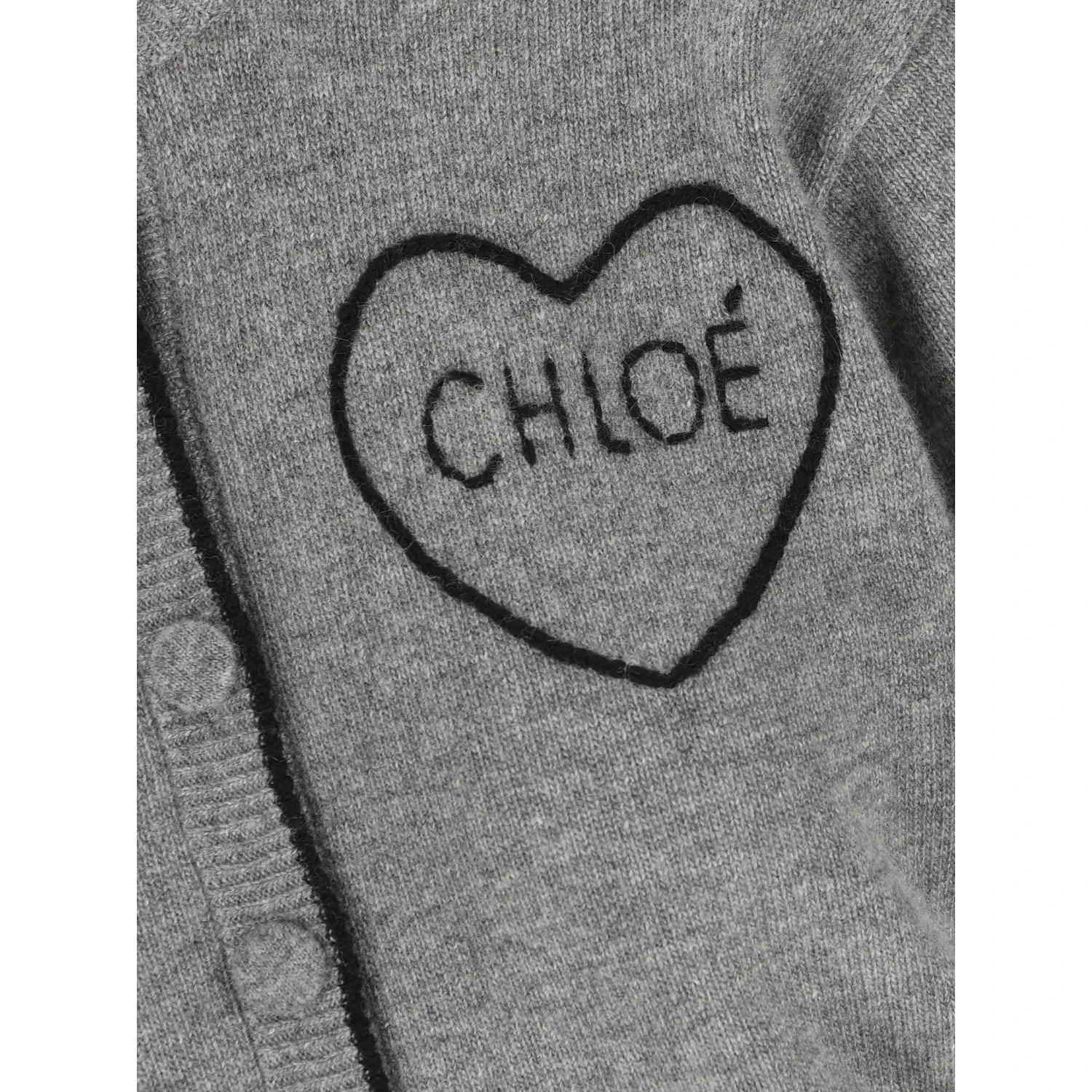 Chloè Sweaters