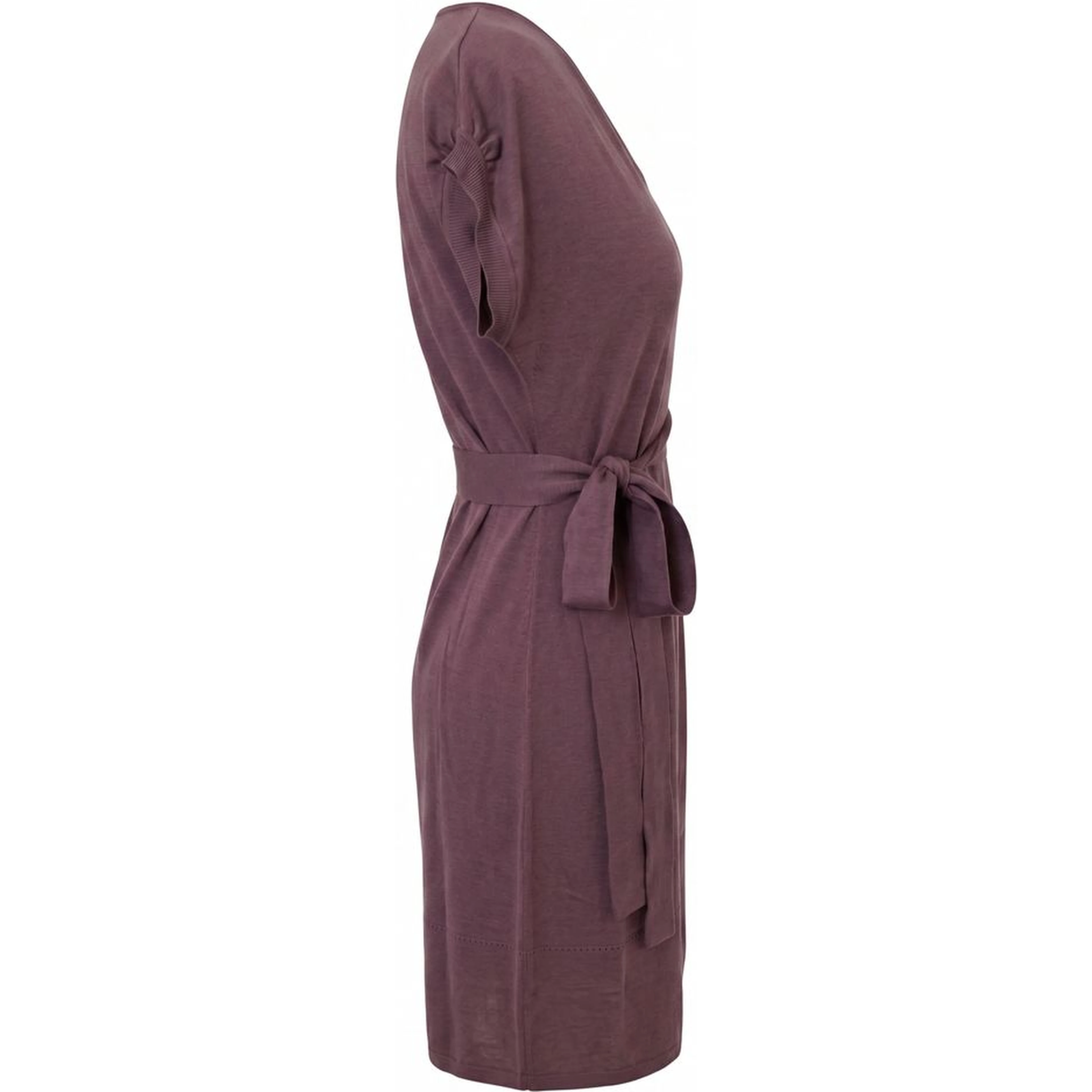 Purple Silk Women Dress