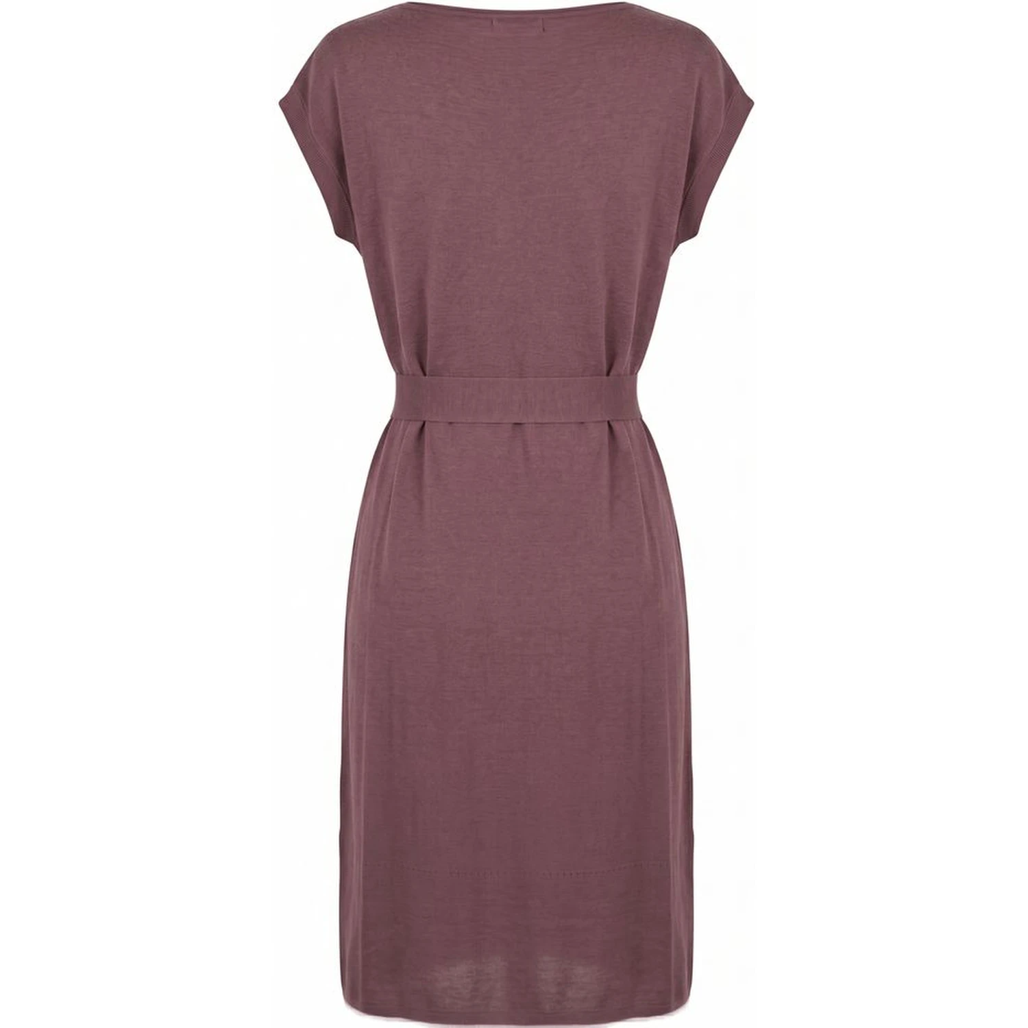 Purple Silk Women Dress