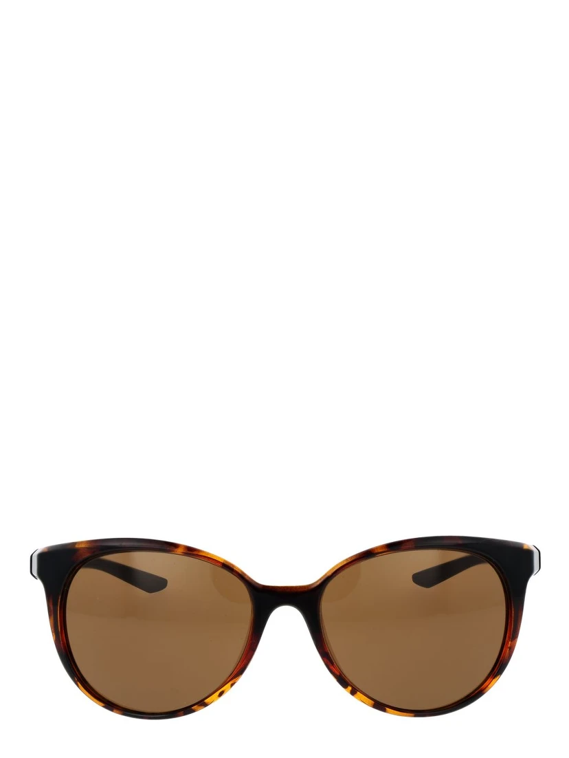 Brown Plastic Sunglasses