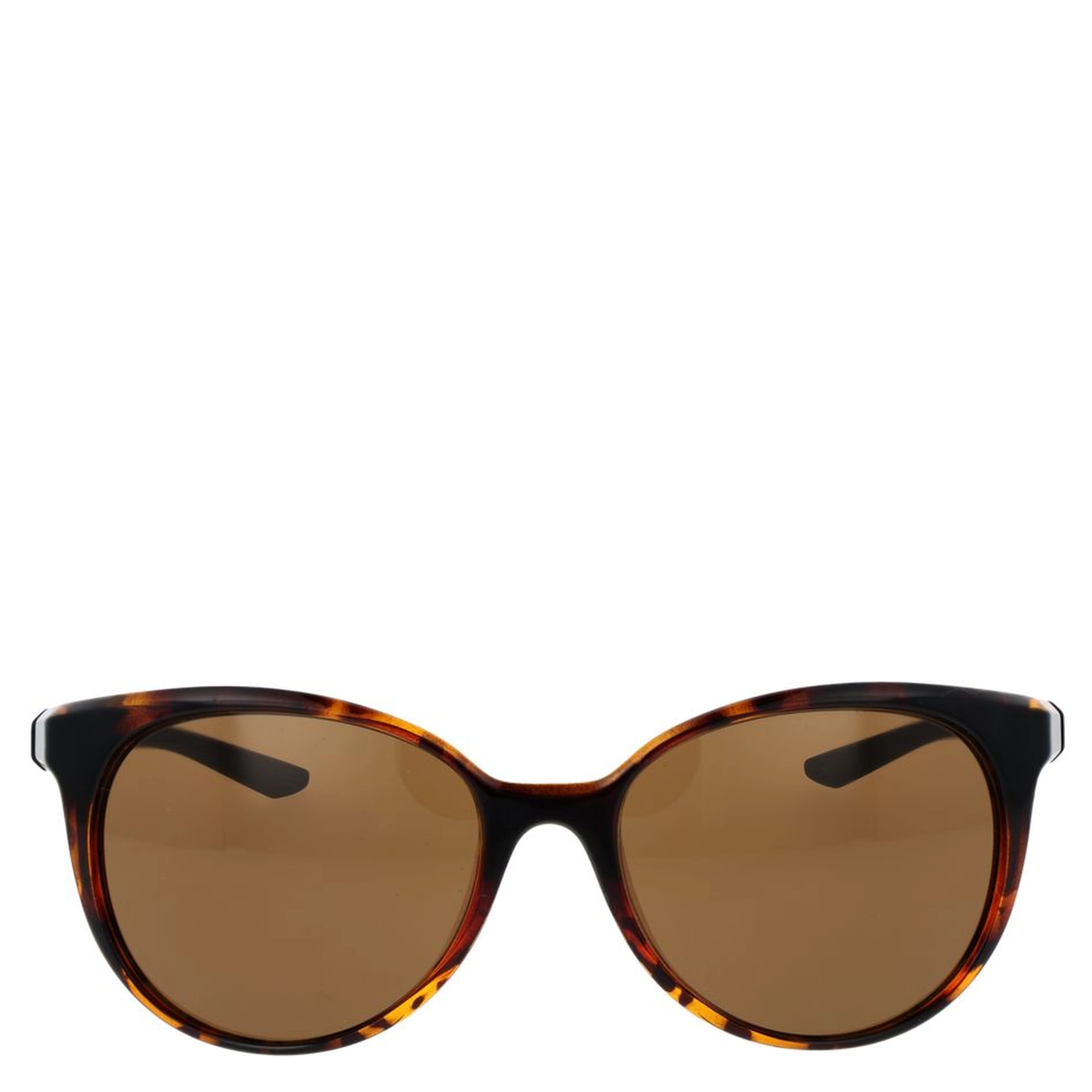 Brown Plastic Sunglasses
