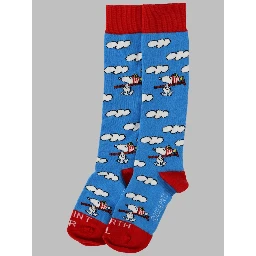 sox jr - peanuts ski 17