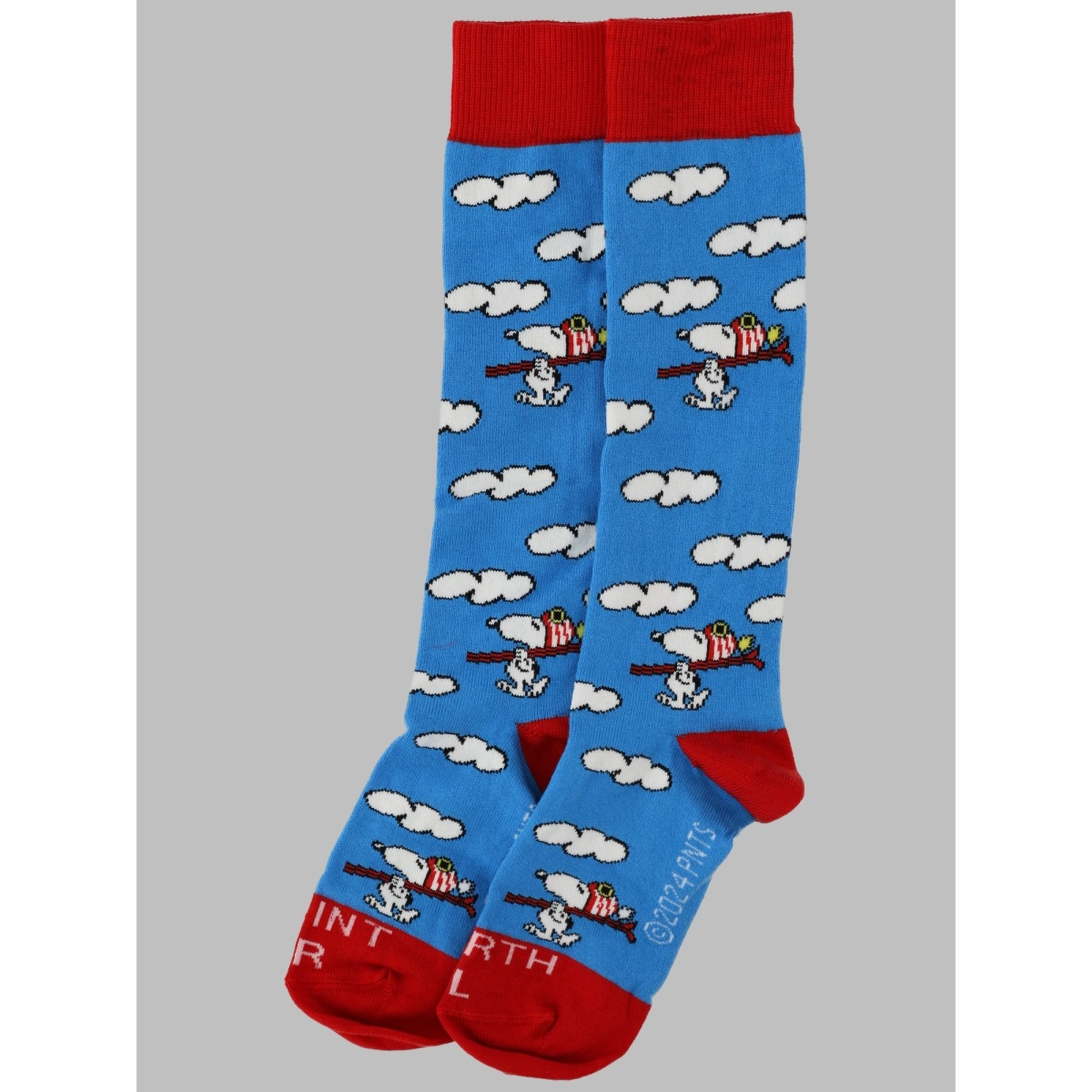 sox jr - peanuts ski 17
