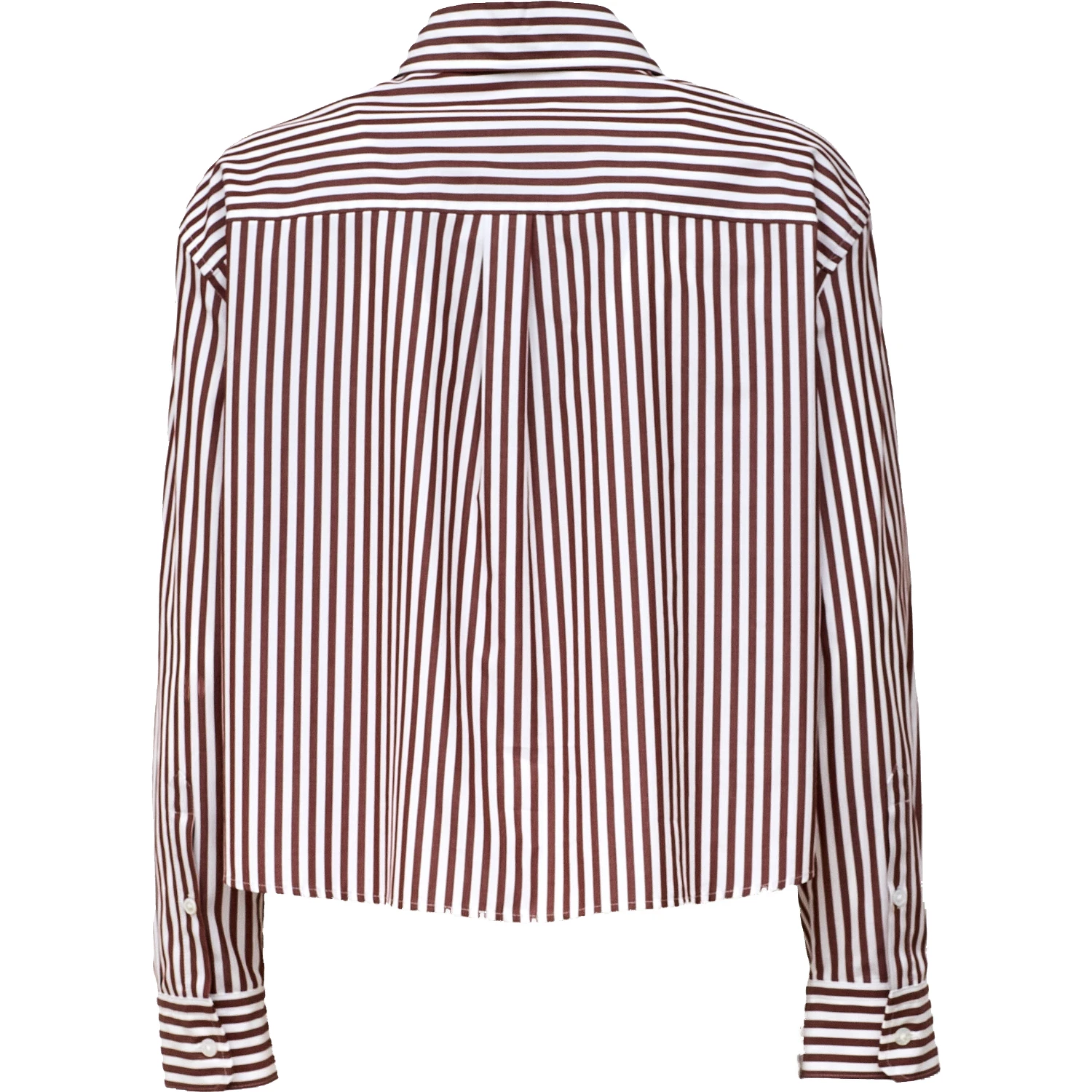 Camicia Panetto In Popeline Puro Cotone